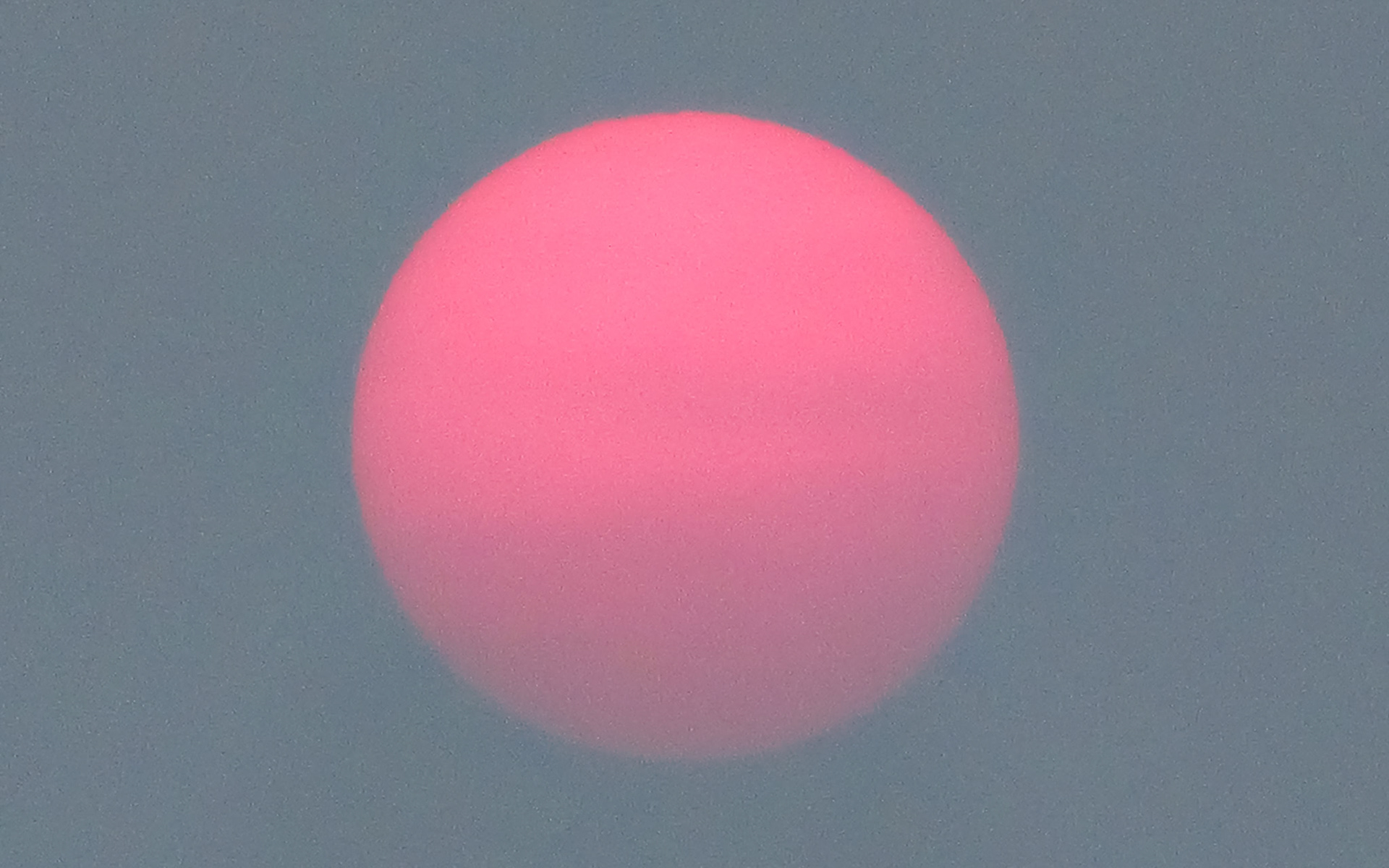 Pink Sun thru Smoke-Filled /Marine Layer Mush