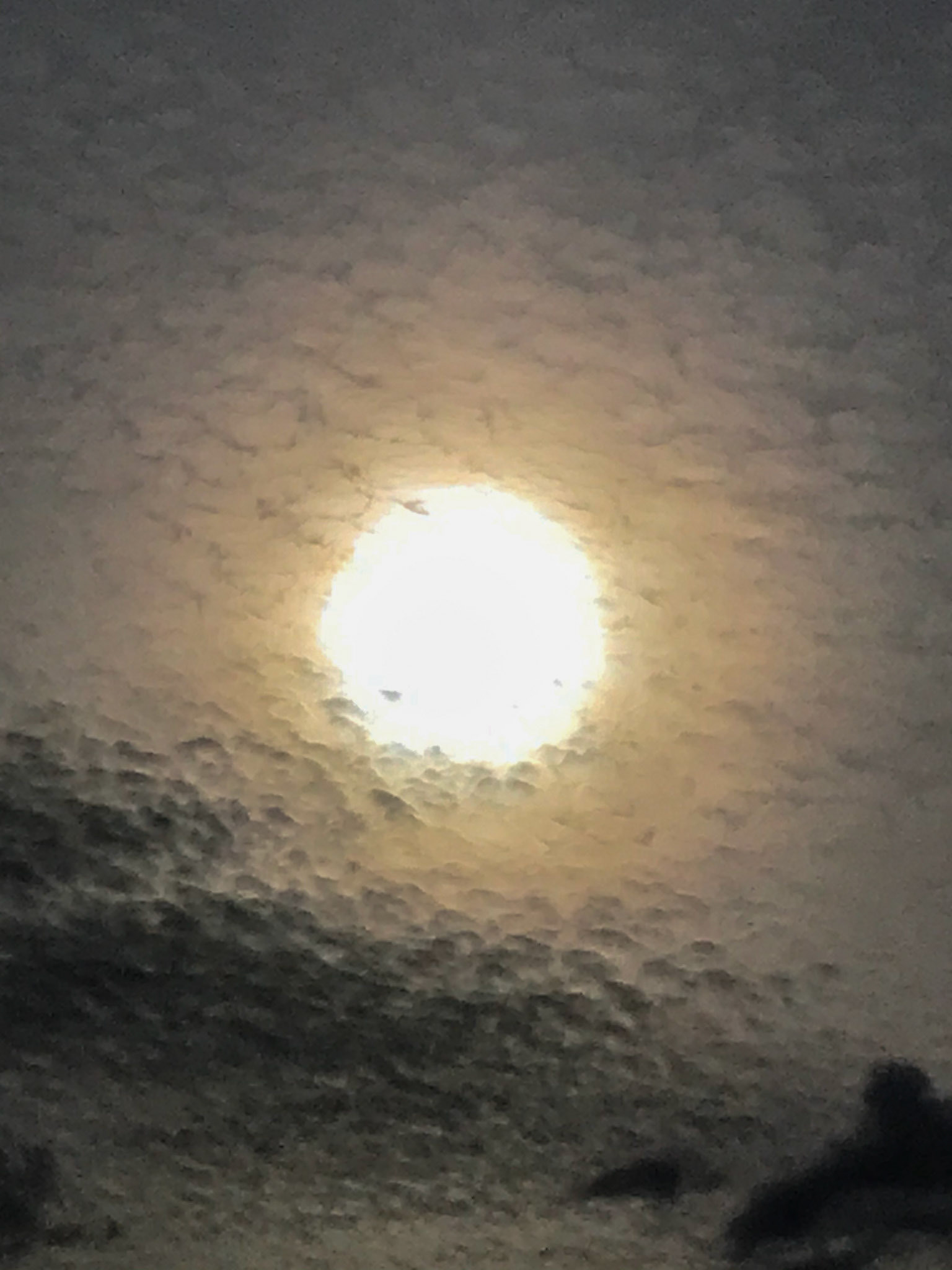 Afternoon Sun