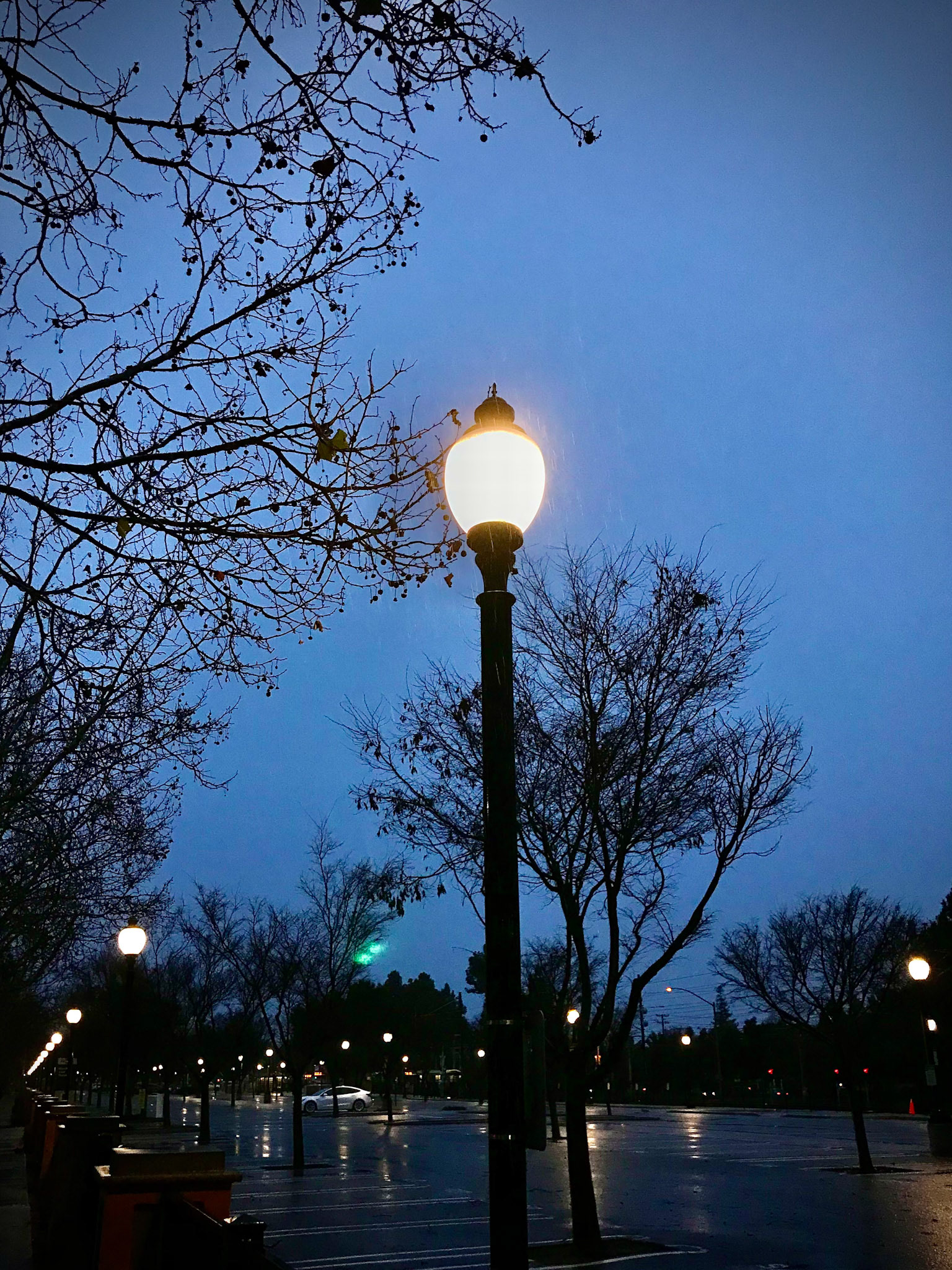 Street Light
