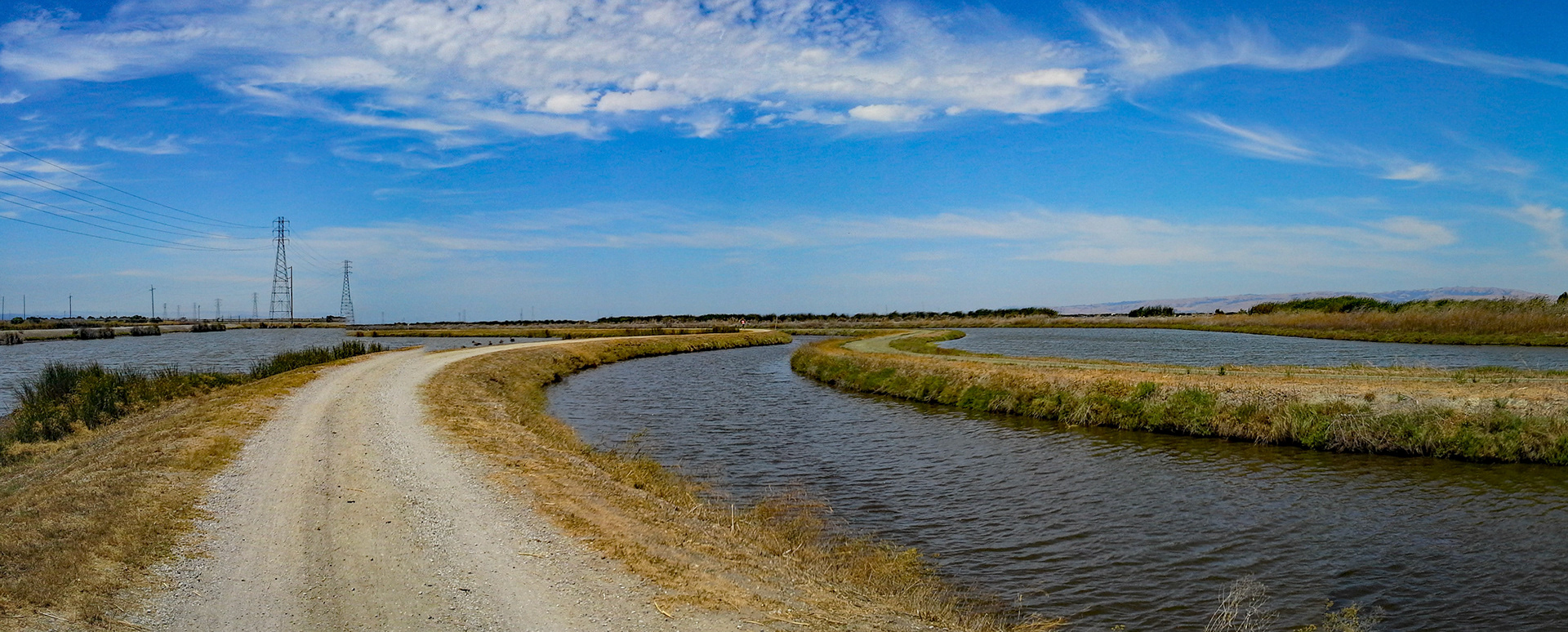 SF Bay Trail - Looking West - South of Moffet Field, North of Lockheed-Martin