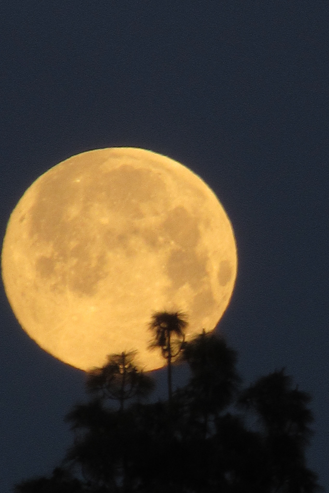 Setting Full Worm Moon