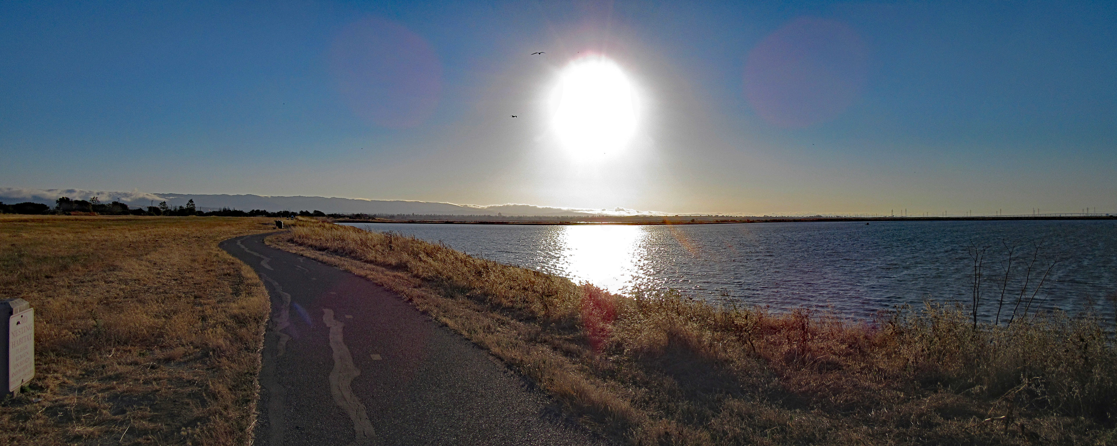 SF Bay Trail