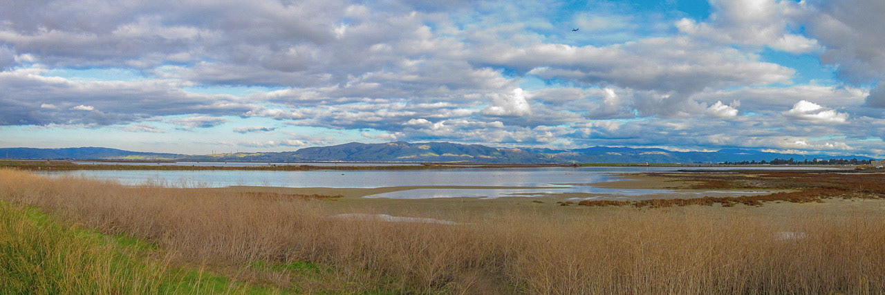 East Bay Hills Panaroma - From South San Franicsco Bay Trail