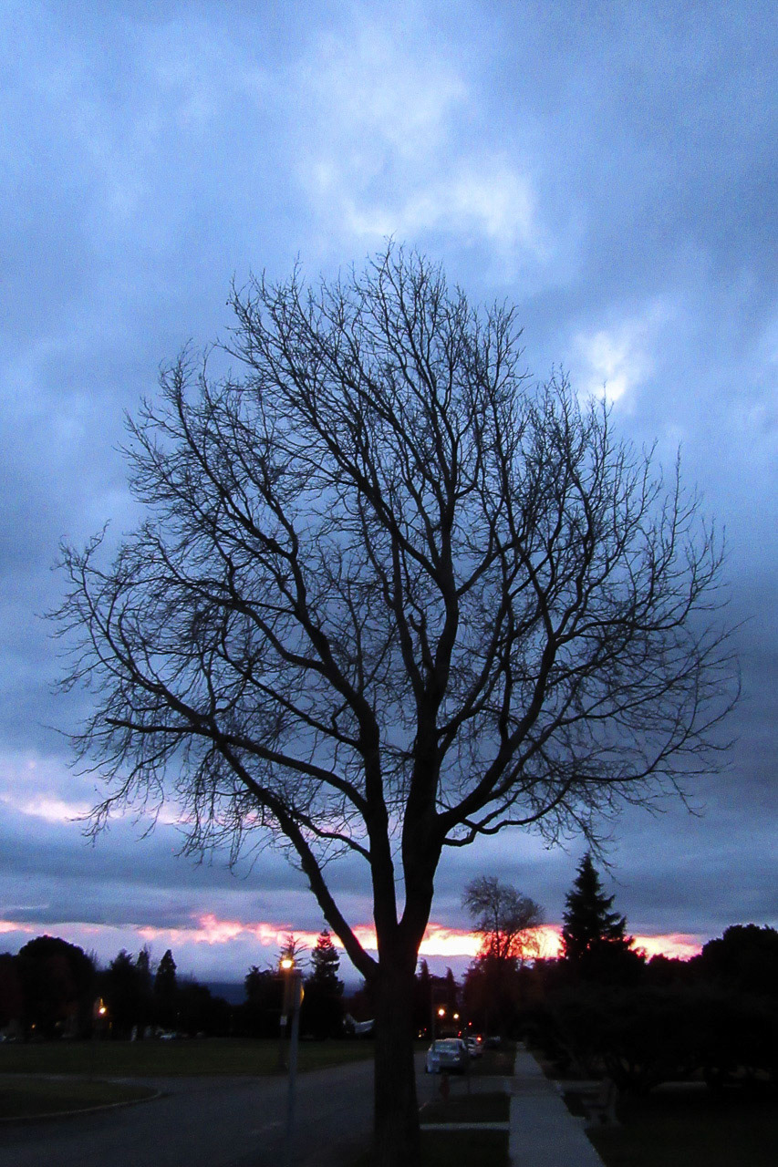 Sundown Silouette