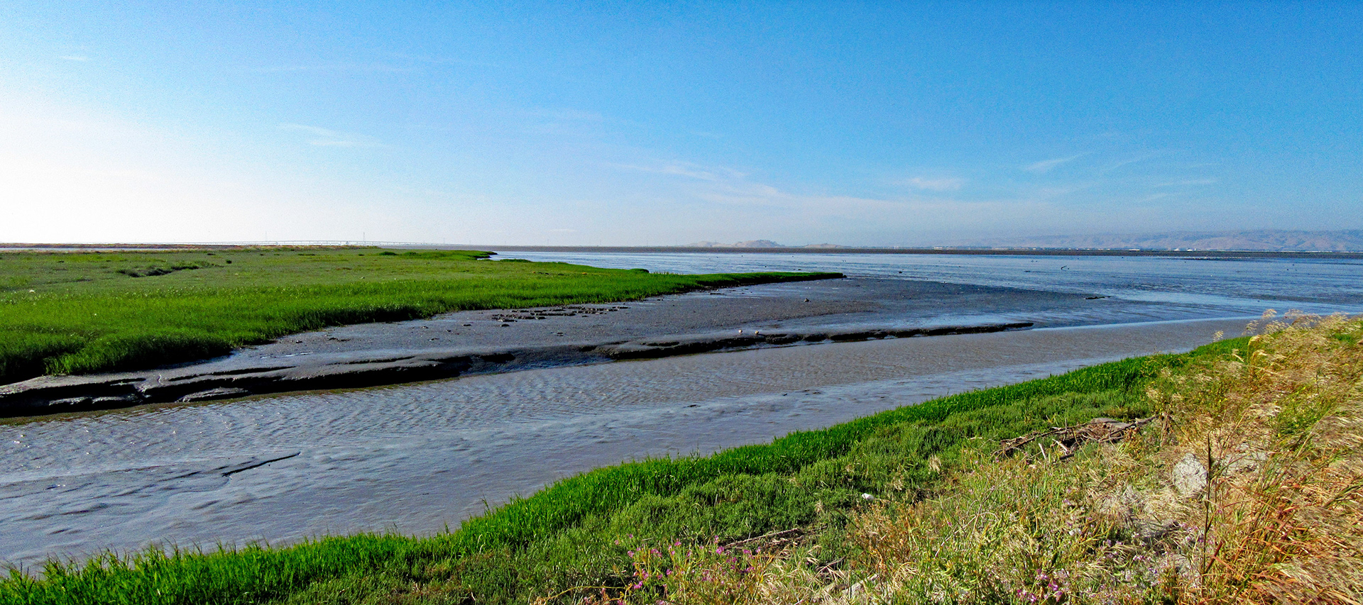 Stevens Creek Marsh Outflow, SF Bay Trail