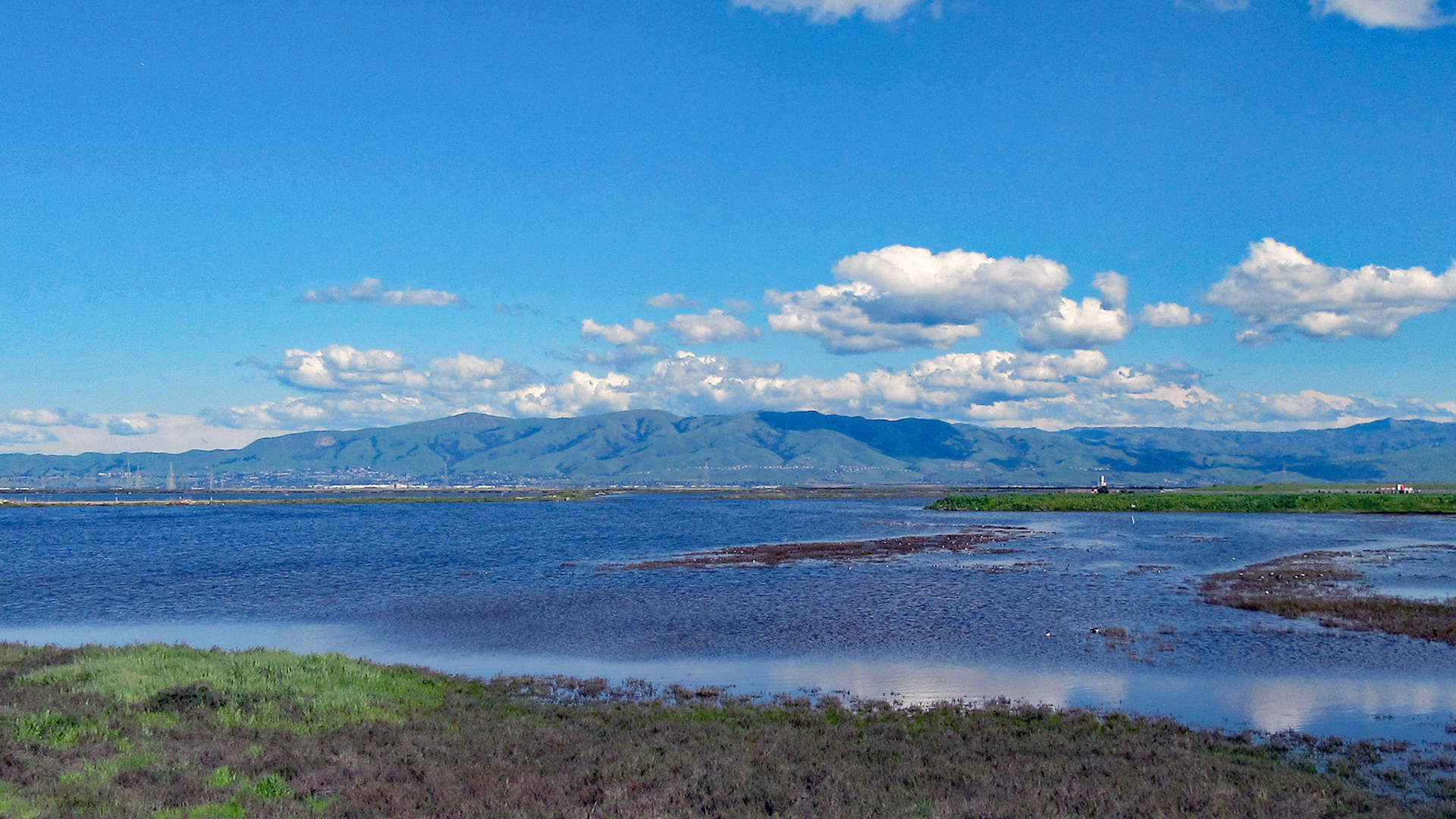 East Bay Hills From SF Bay Trail