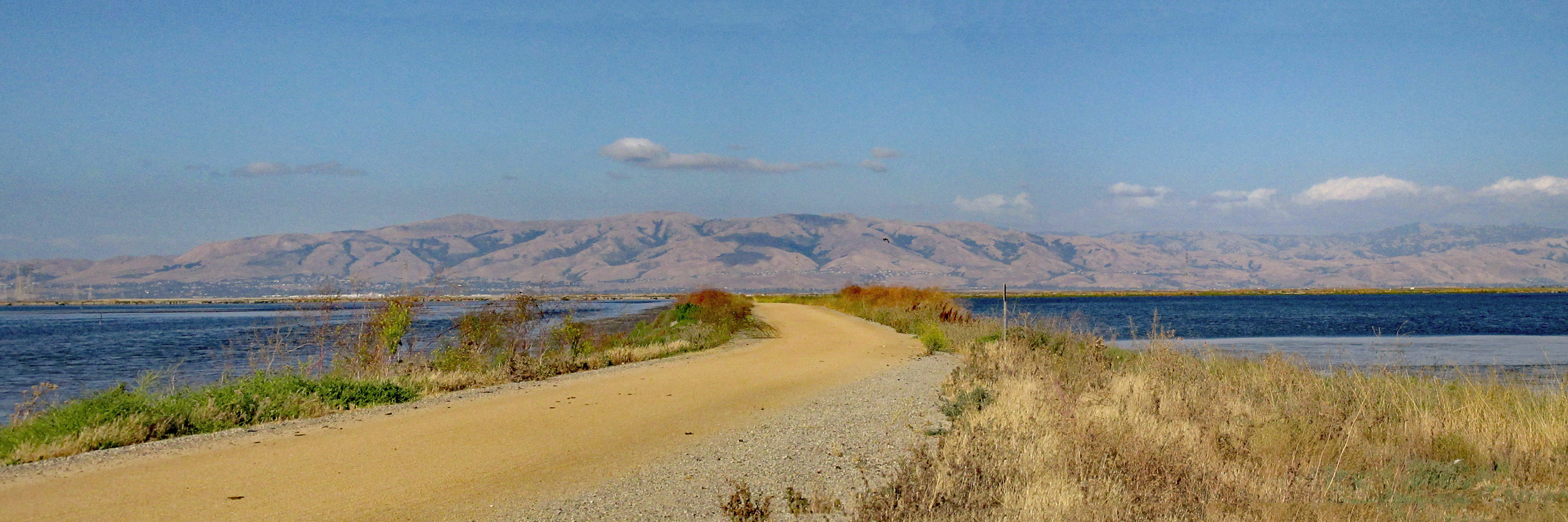 SF Bay Trail