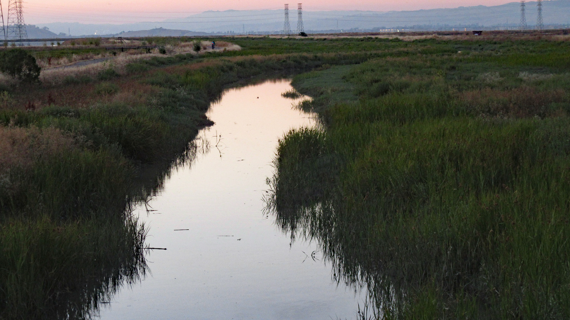 Stevens Creek Marsh @ Sundown