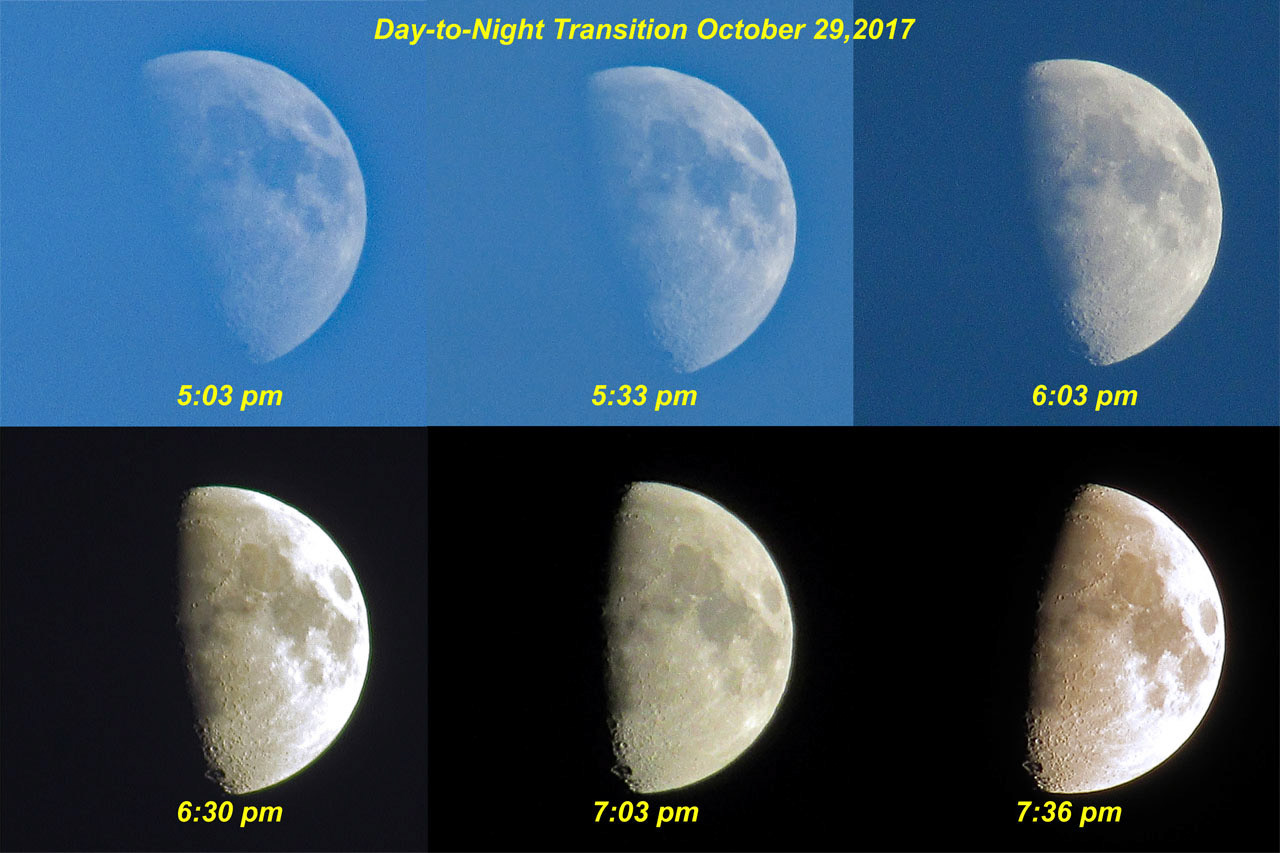 Day-to-Night Transition