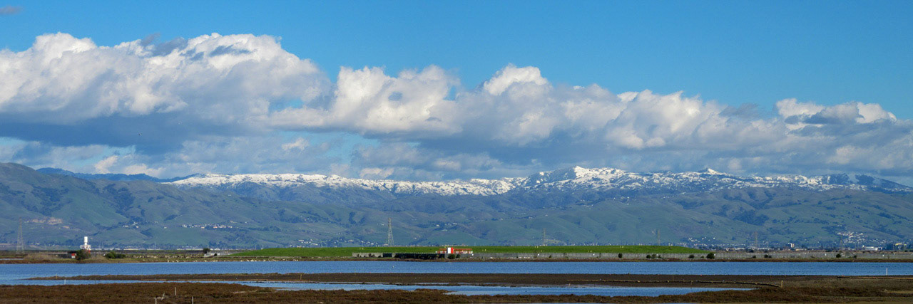 East Bay Hills From SF Bay Trail