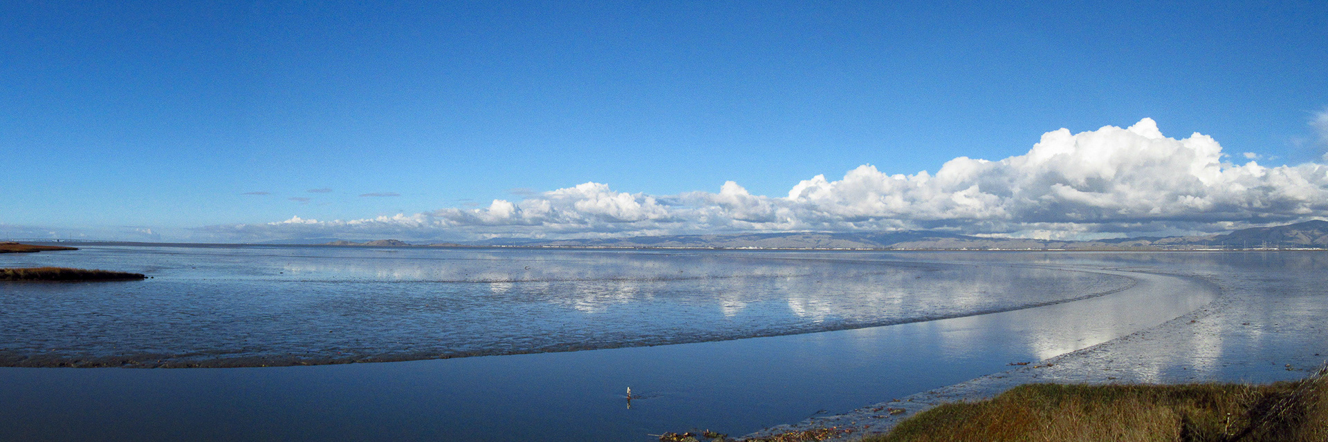 Stevens Creek Outflow, SF Bay Trail, Mountain View, CA