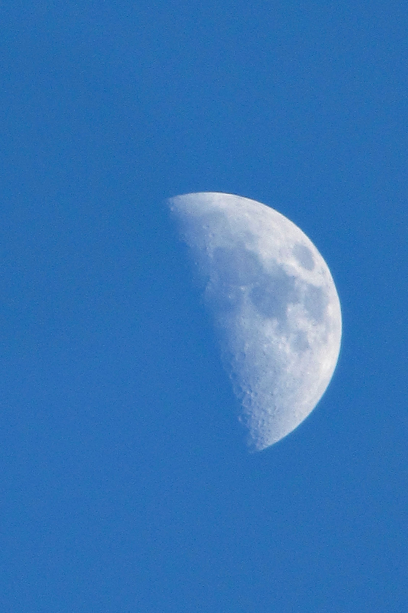 1st Quarter Moon