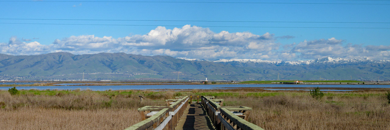East Bay Hills From SF Bay Trail