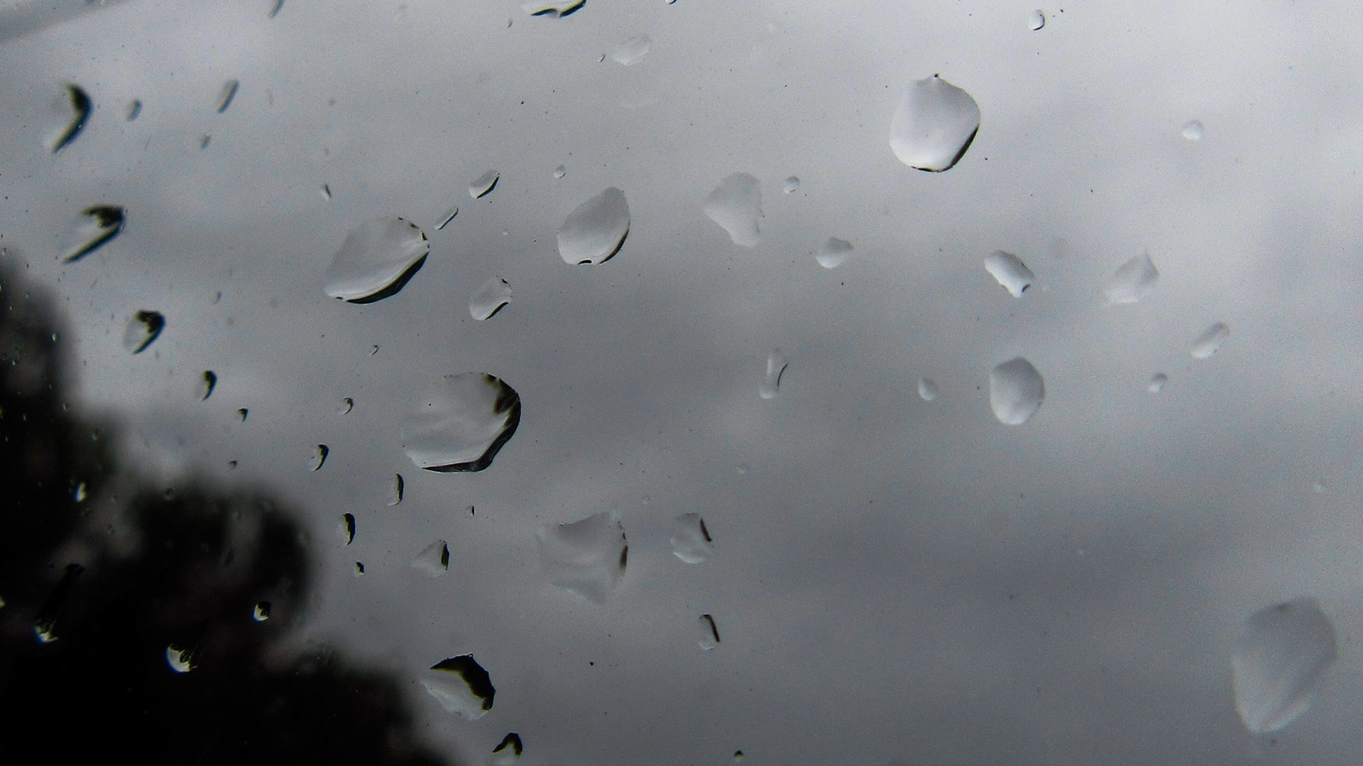 Raindrops On A Window