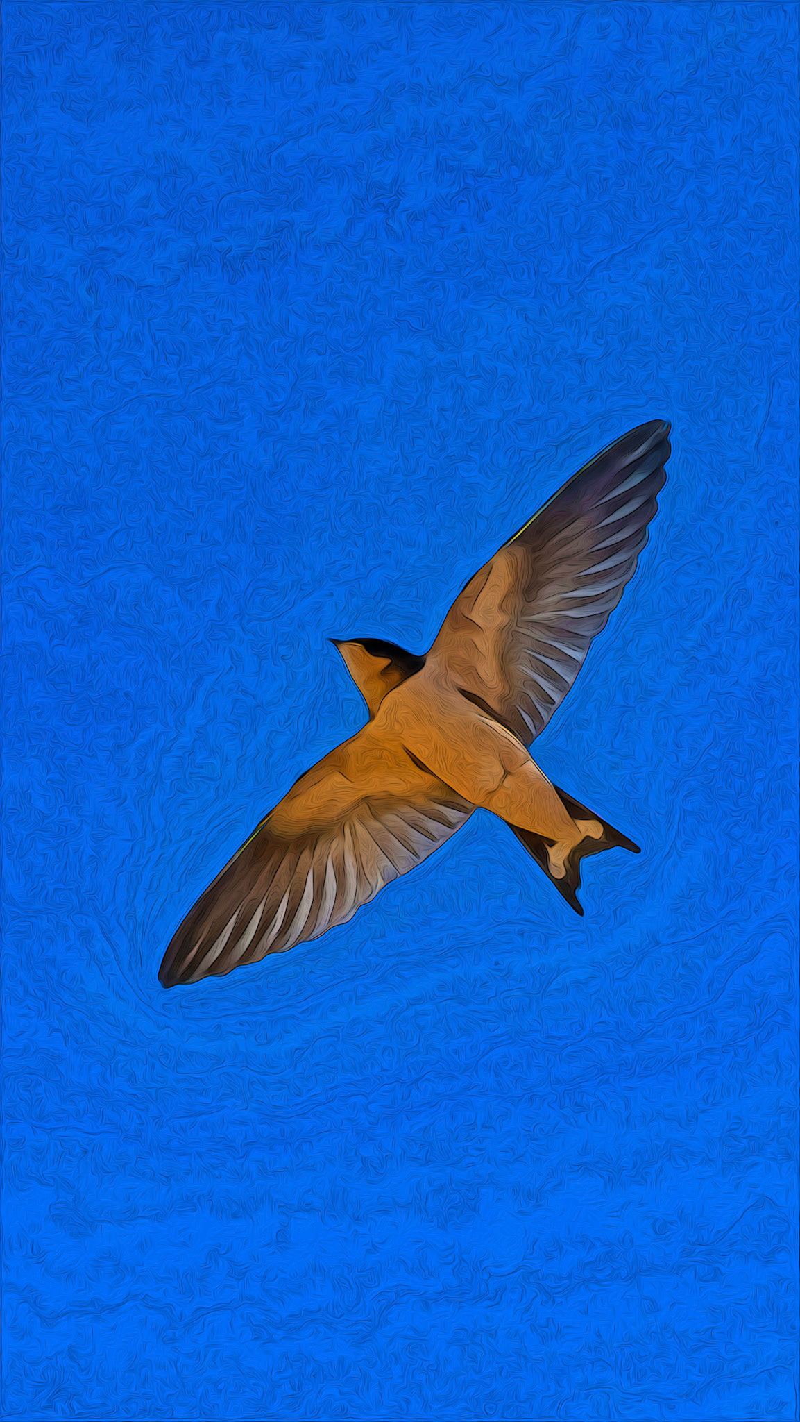 Bird in Filght