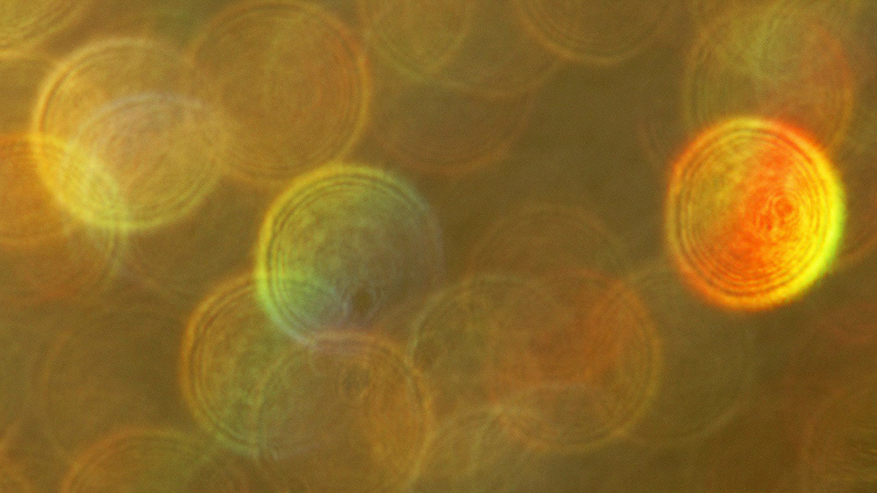 Light Refracted