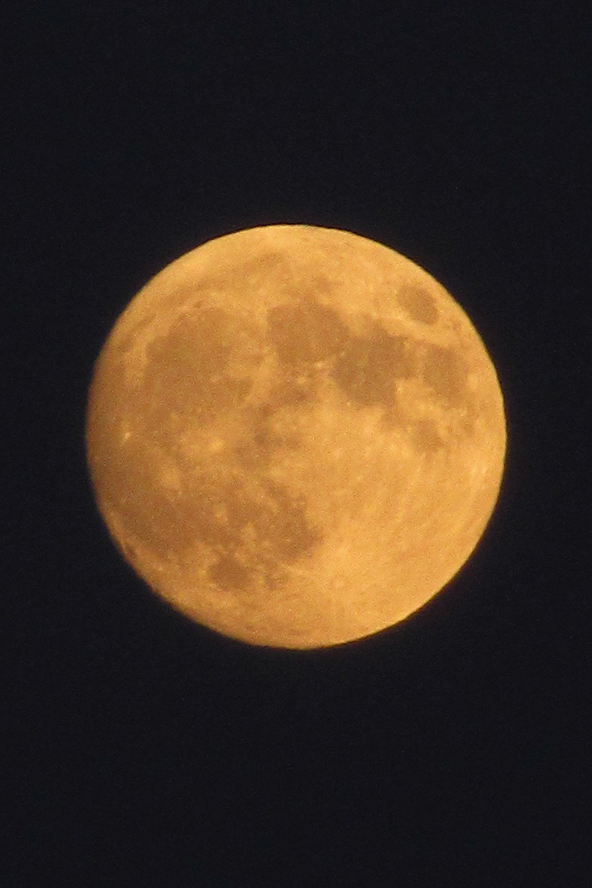 Rising Full Moon