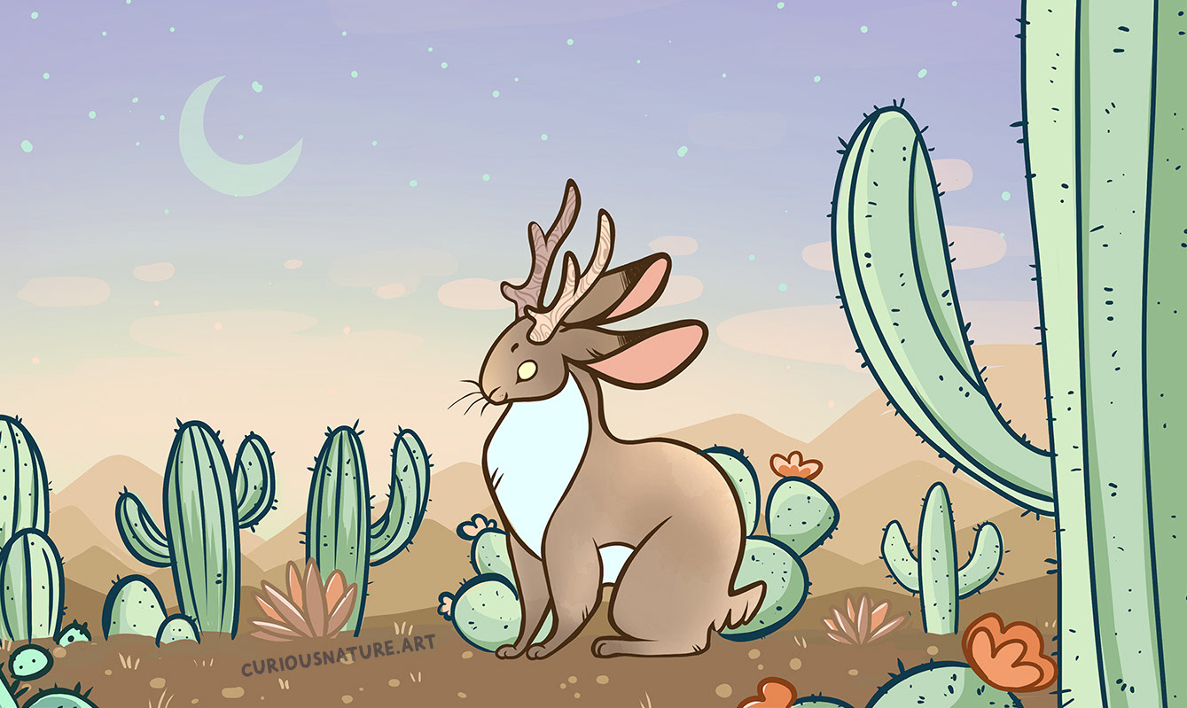 Jackalope