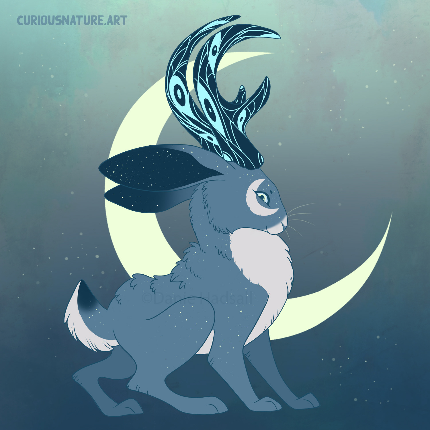Moon Jackalope