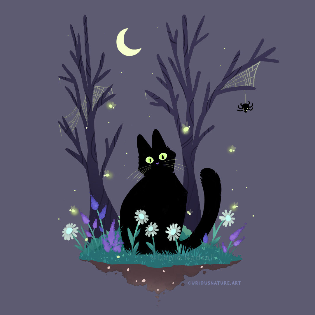 Lost Kitty