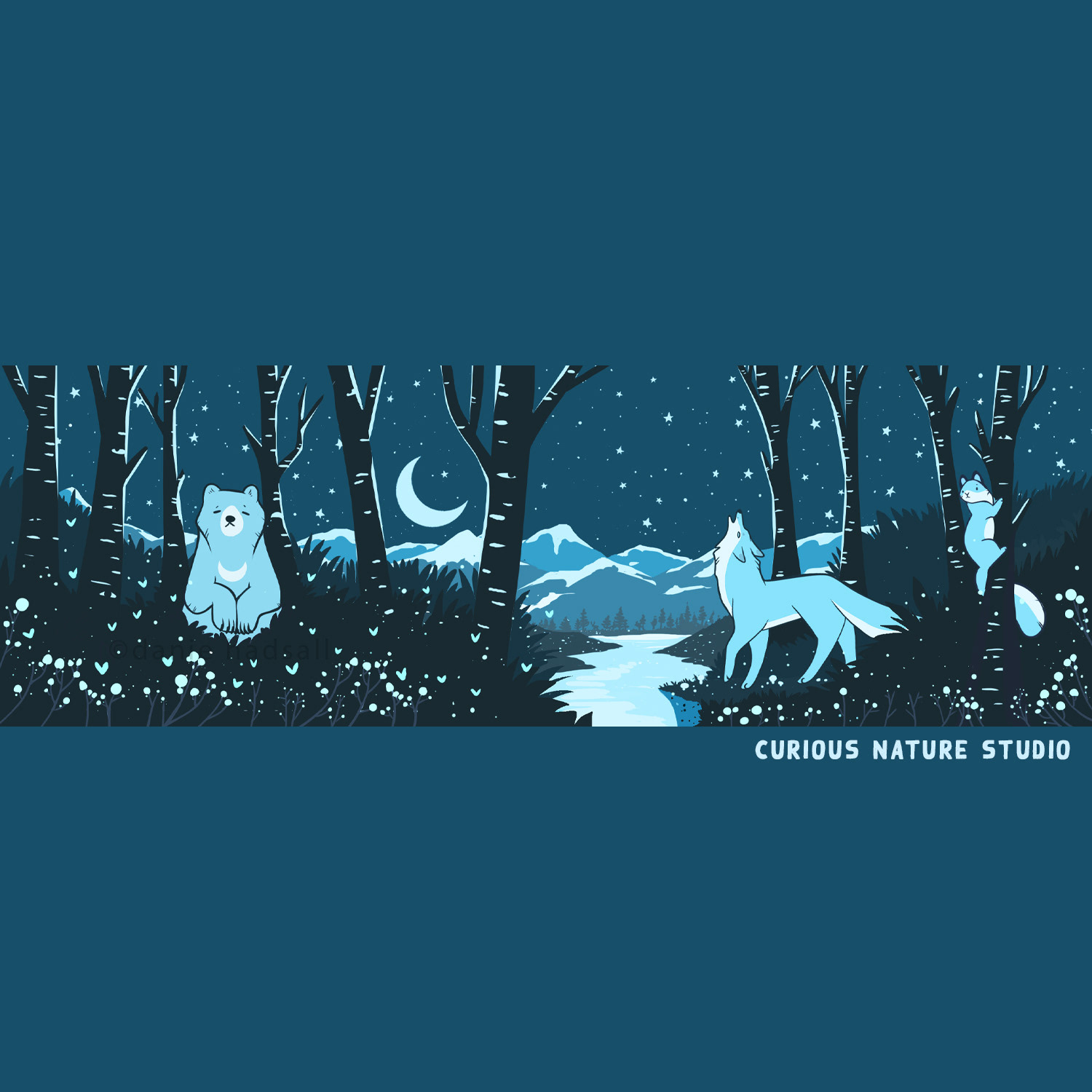 Mystic Forest Night