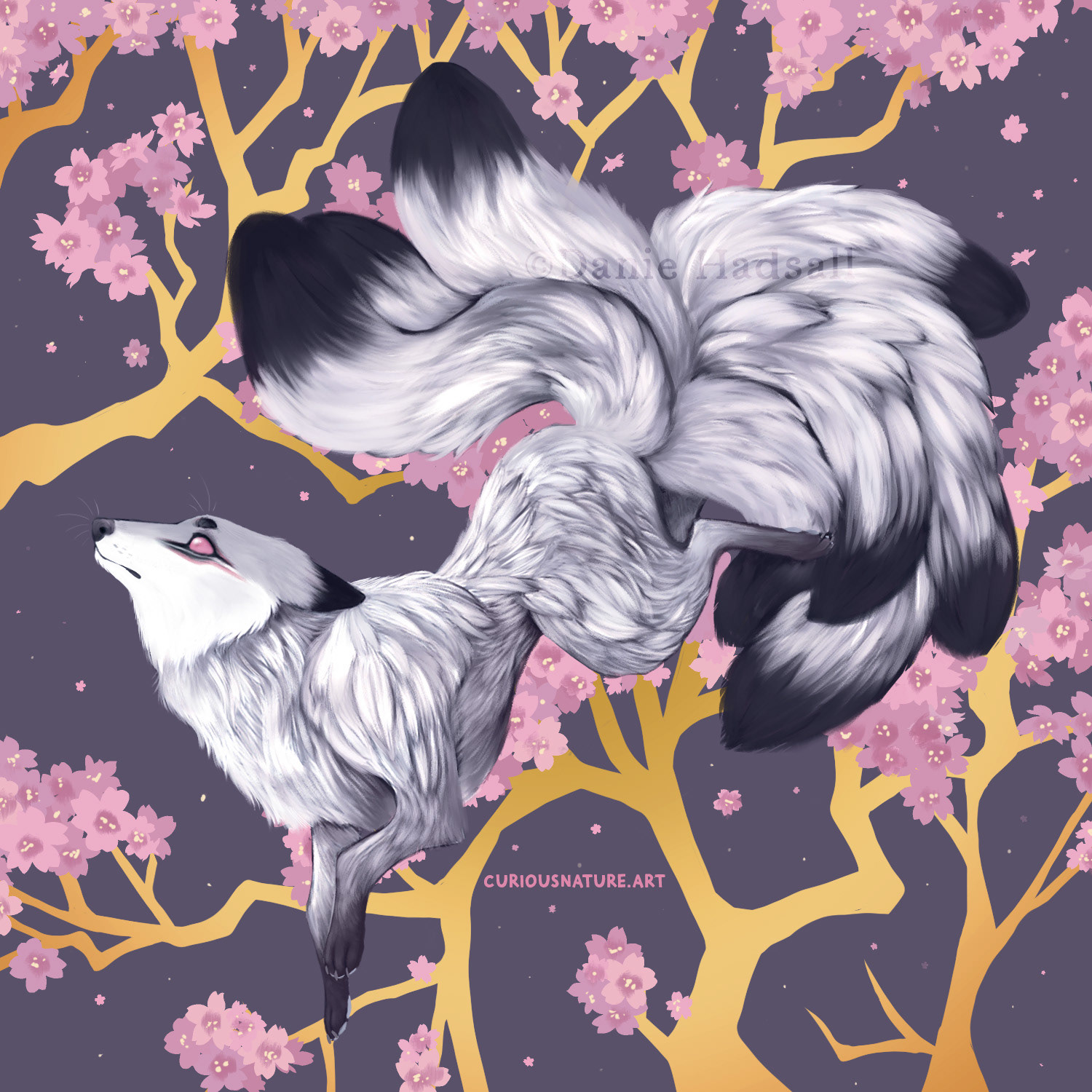 Kitsune Blossom