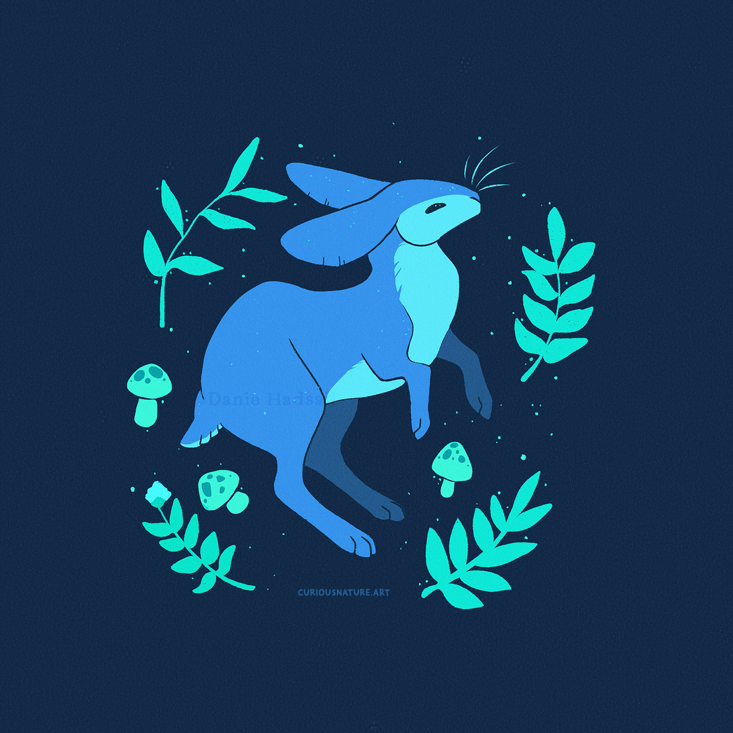 Lost Rabbit