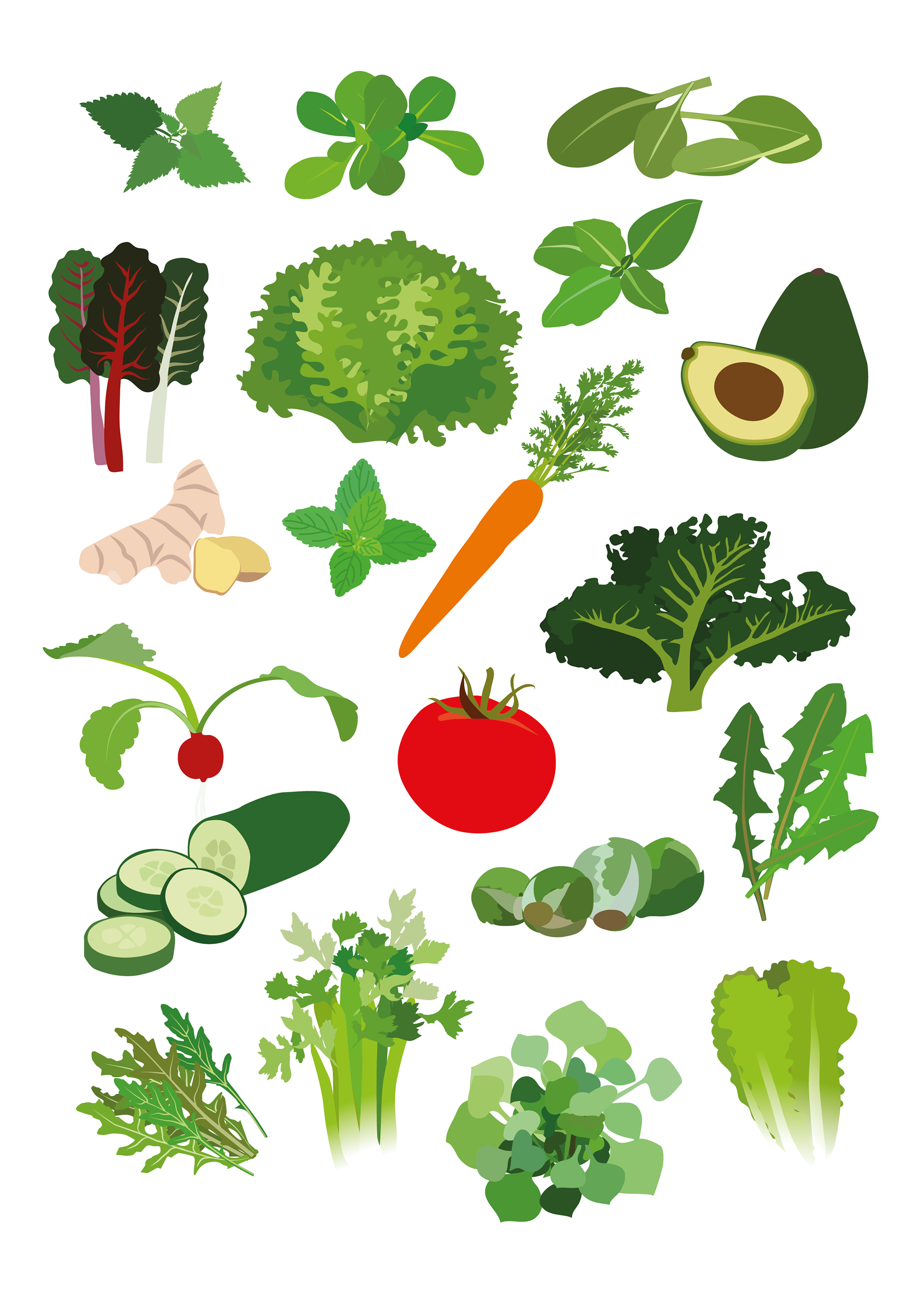 clipart collection