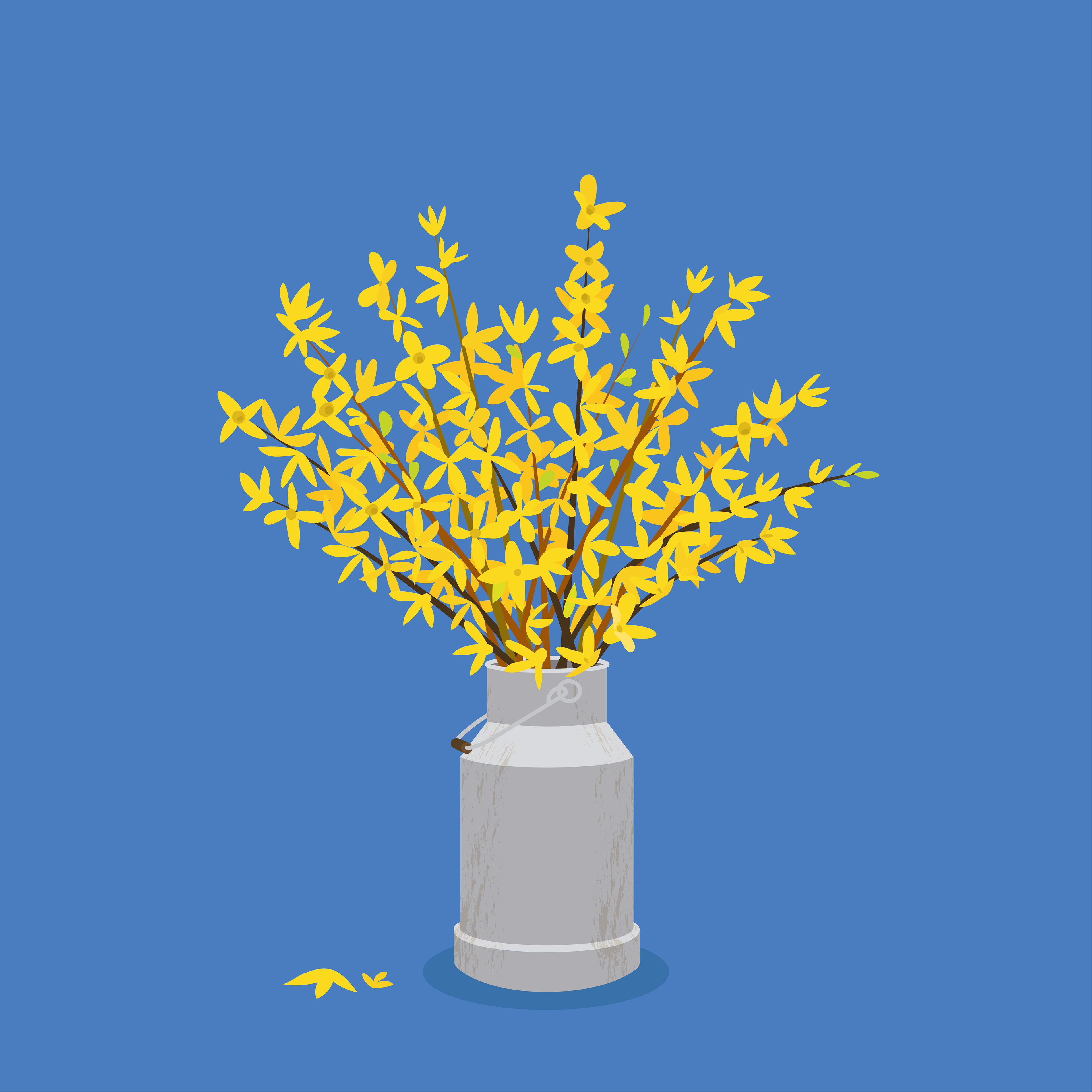 Forsythien