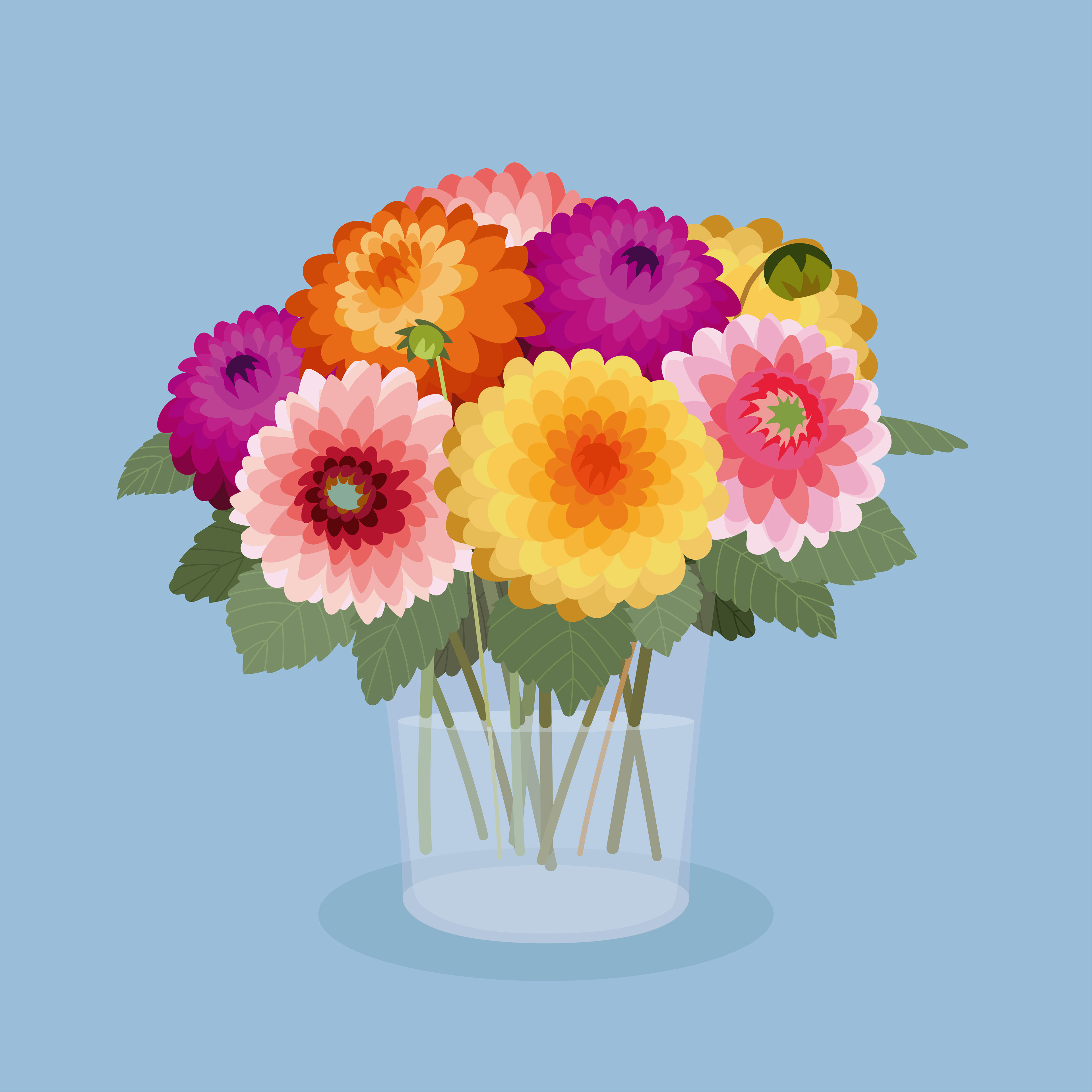 Dahlien