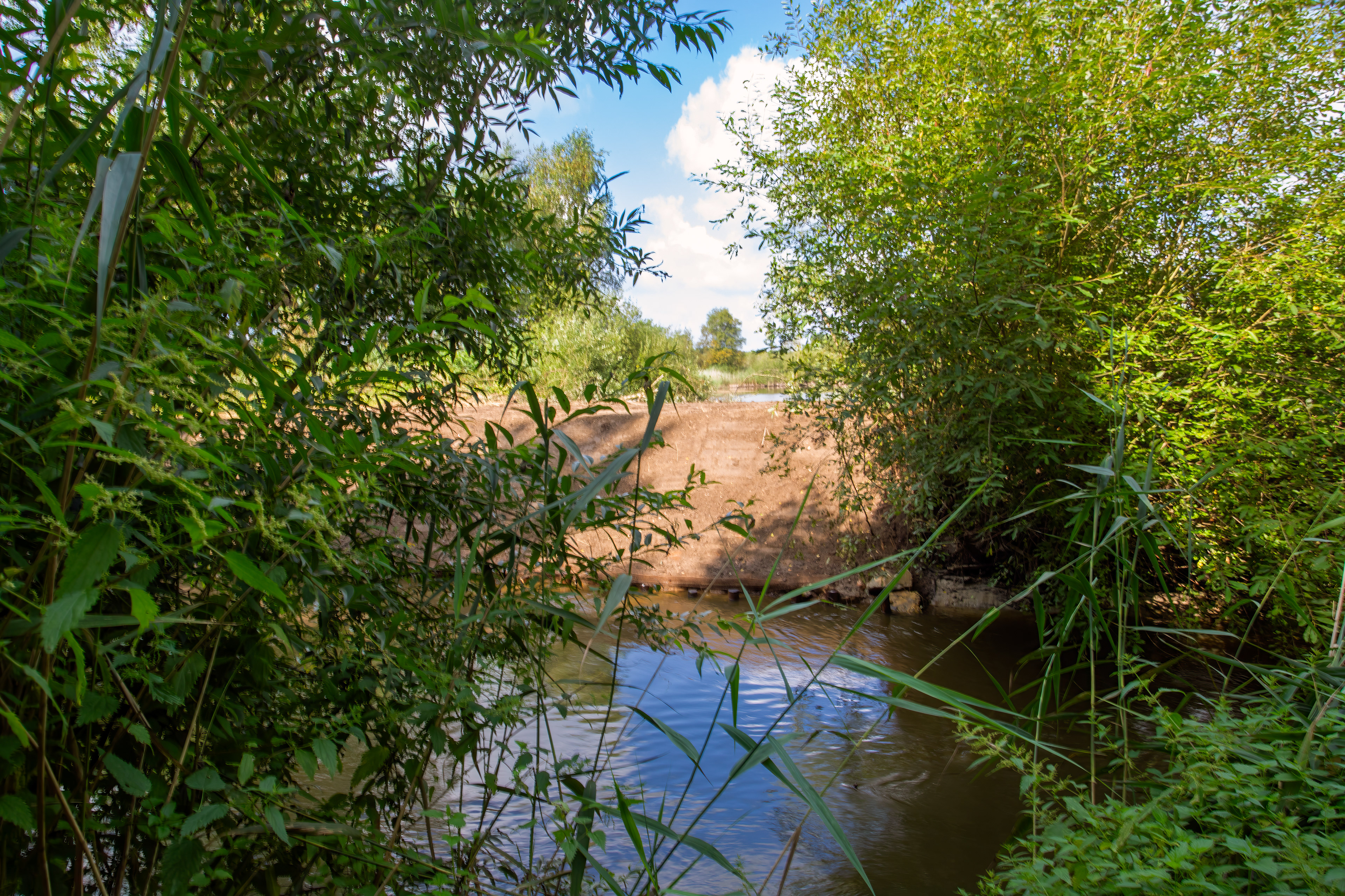 Herstelde dijk provincievijver