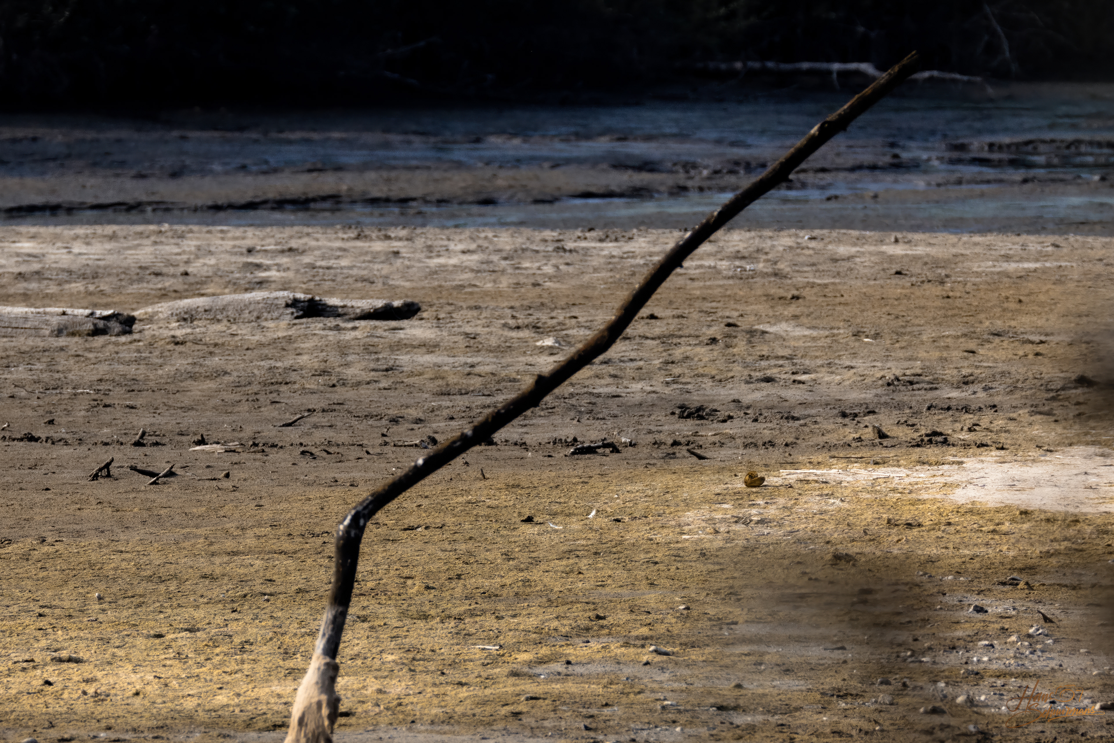 begin aug. 2024, dijkbreuk