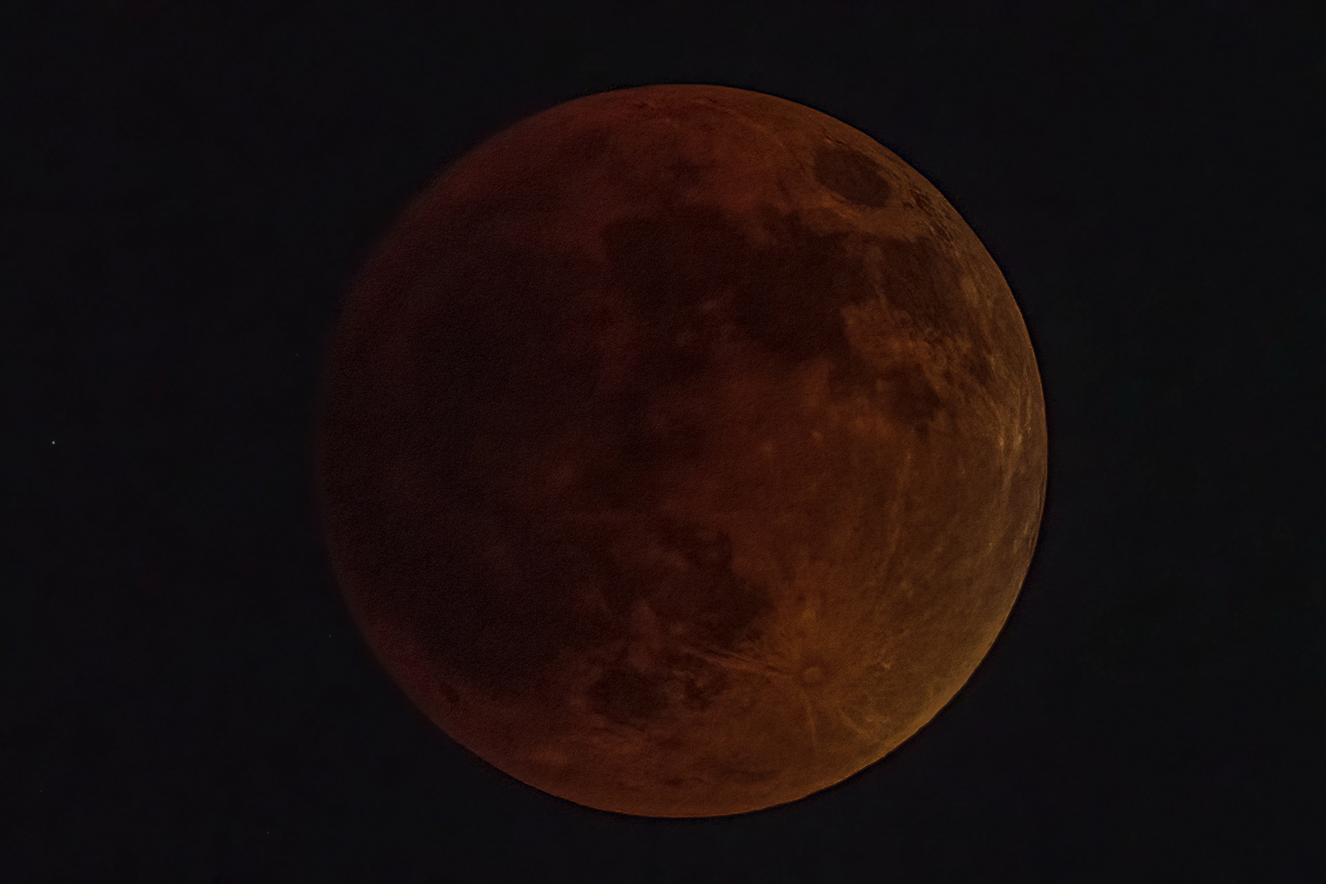The Super Flower Blood Moon in total eclipse. (Bradenton, FL)