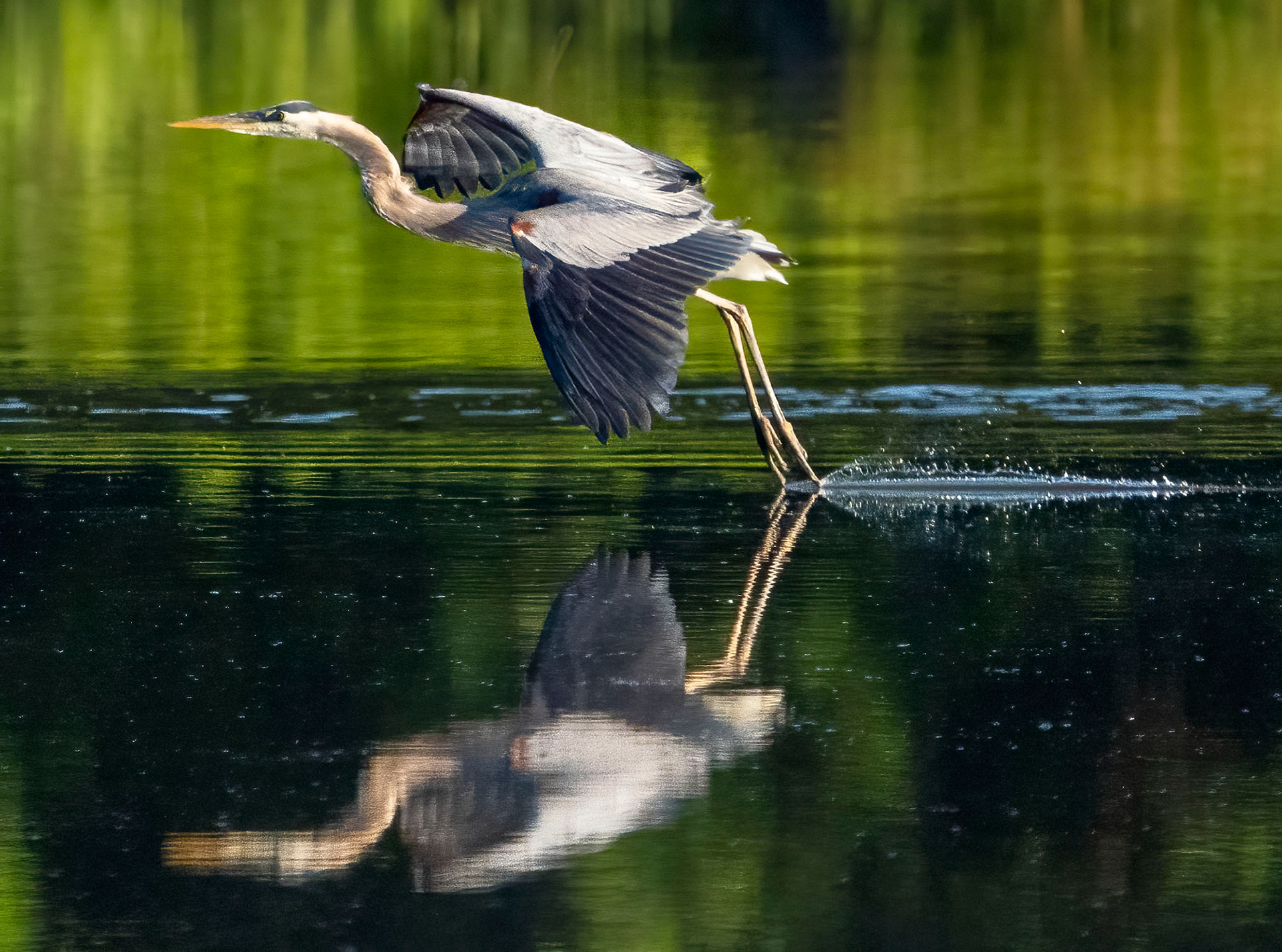Touching down. (Alexandria, VA)