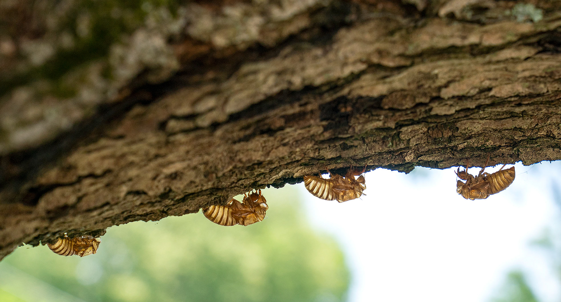 One hangout of many.