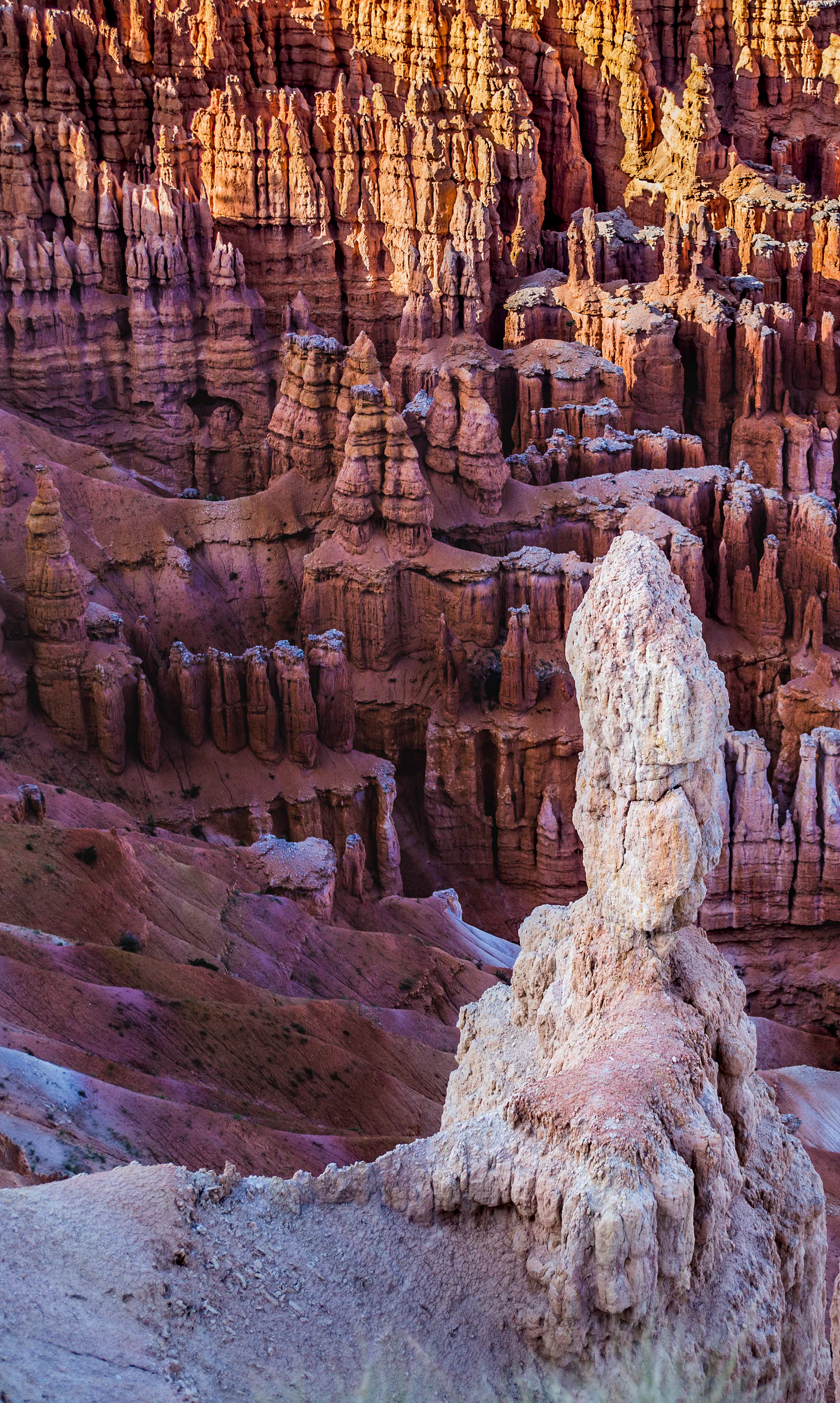 The hoodoos of Bryce. (Bryce Canyon National Park, UT)