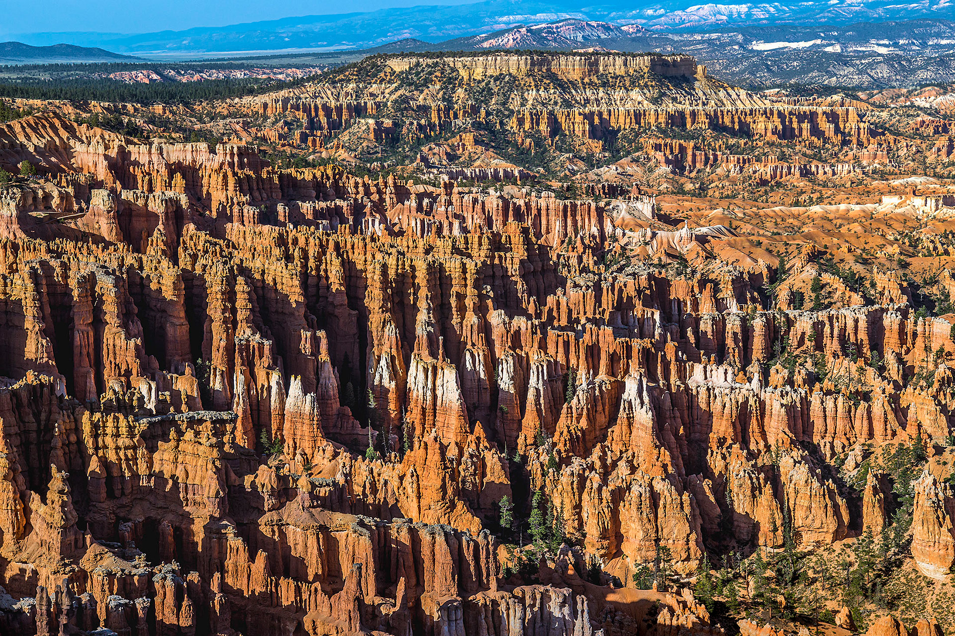 The hoodoo spires of Bryce Canyon. (Bryce Canyon National Park, UT)