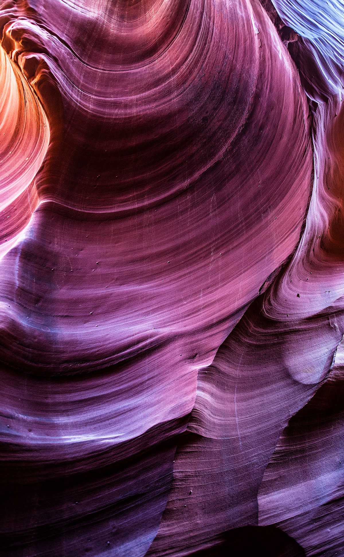 Sunlight illuminates the stone walls of Antelope Canyon. (Page, AZ)