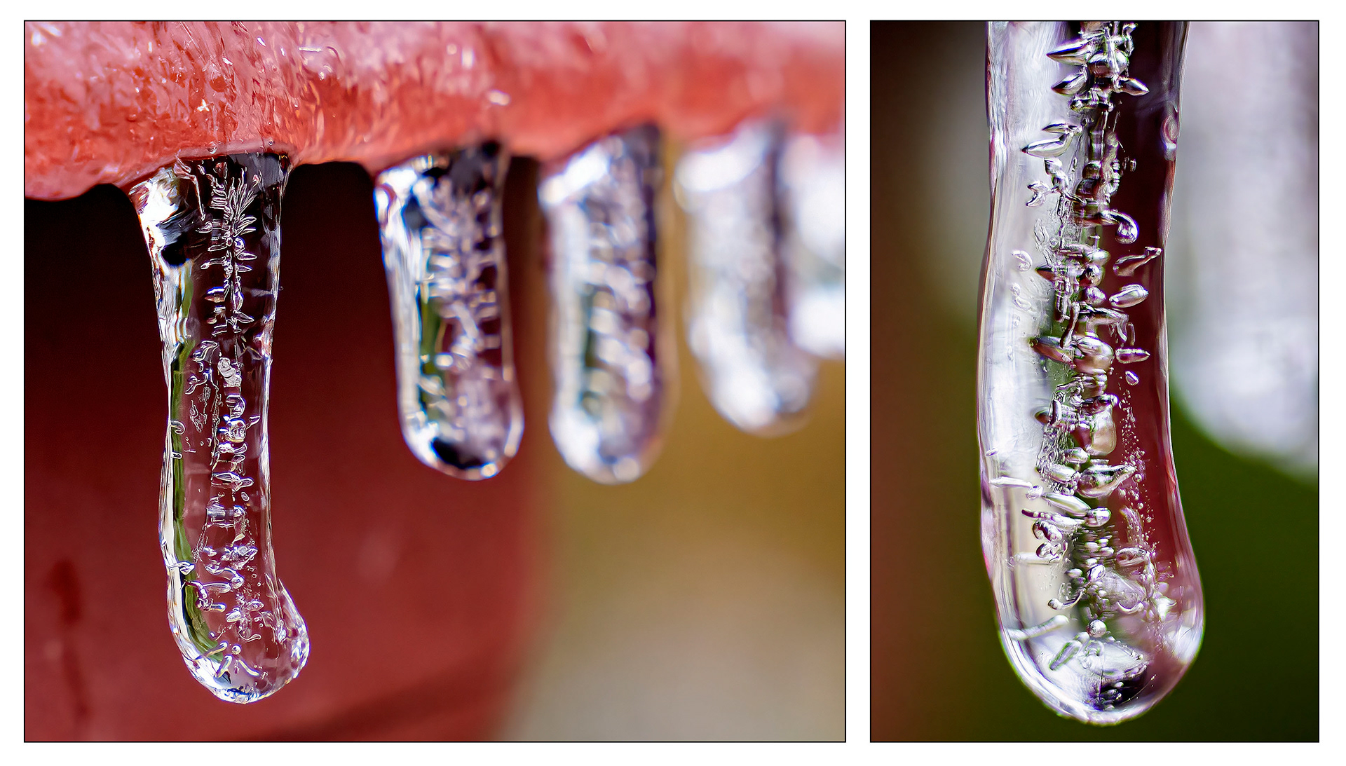 Tiny icicles forming on a flower pot. (Springfield, VA)