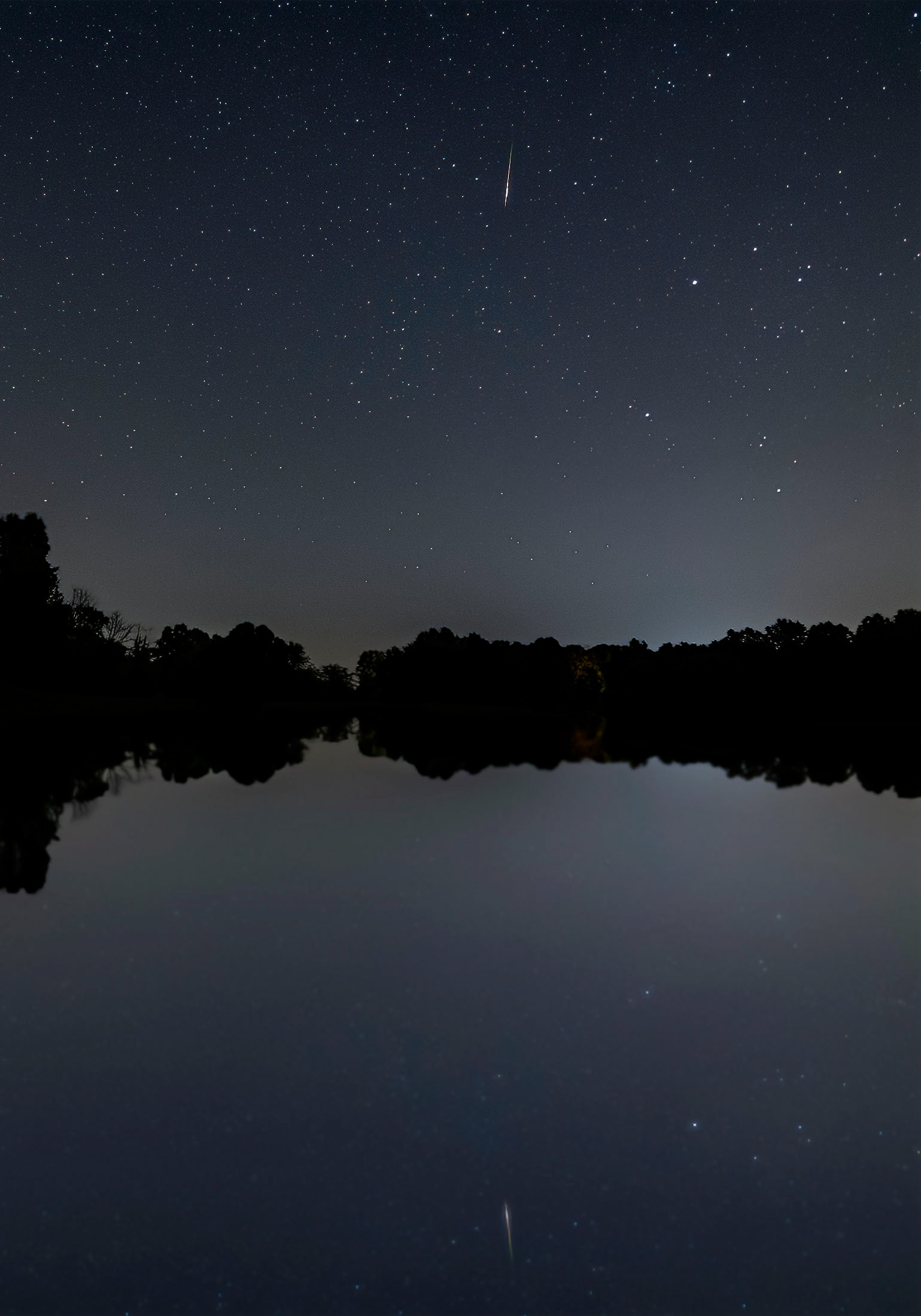 A meteor from the Perseids Meteor Shower streaks across the sky. (Murphysboro, IL)