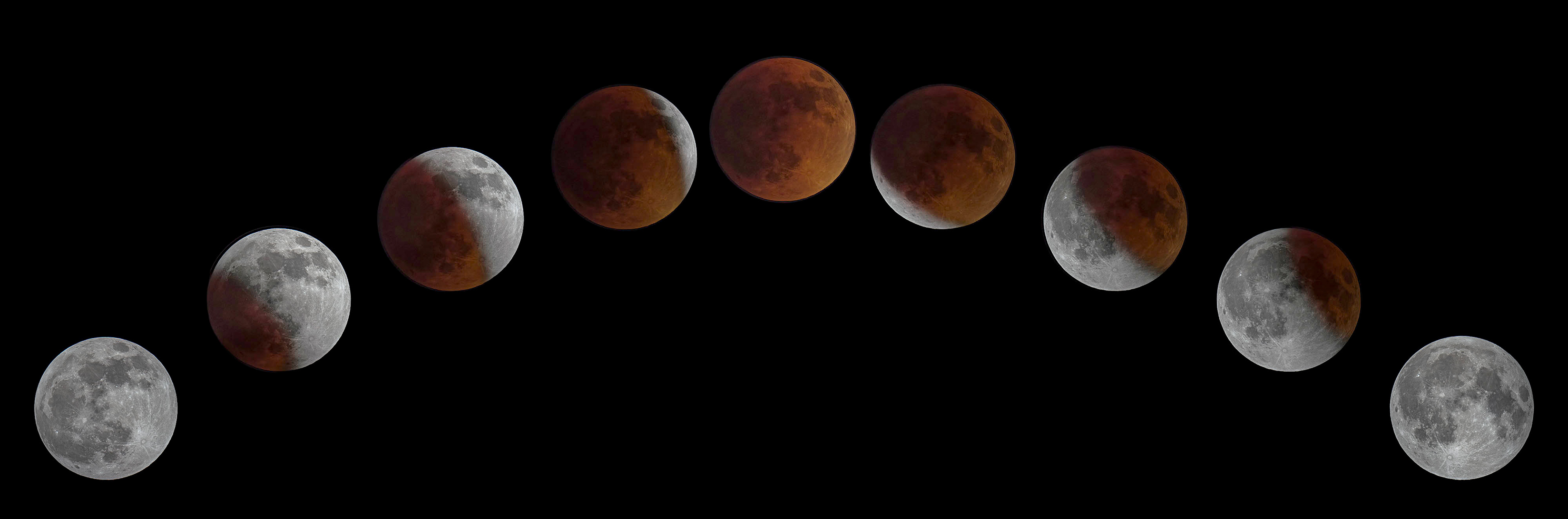 Phases of the Super Flower Blood Moon eclipse from start to finish. (Bradenton, FL)