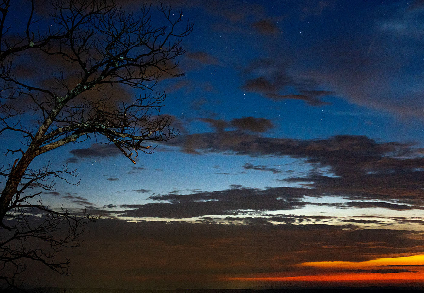 Comet, sunset, clouds, tree. (Shenandoah National Park, VA)