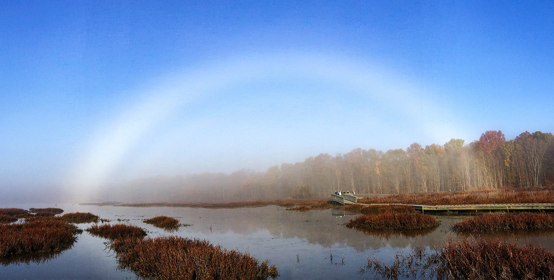 A fogbow or ghost rainbow, the result of sunlight reflected off of the small water droplets of fog. (Alexandria, VA)