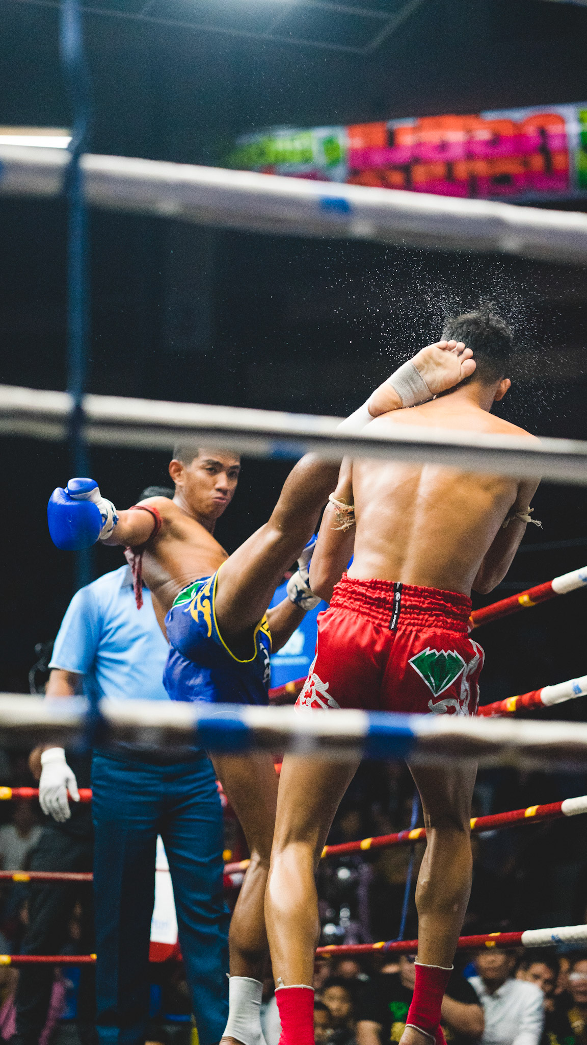 Knockout