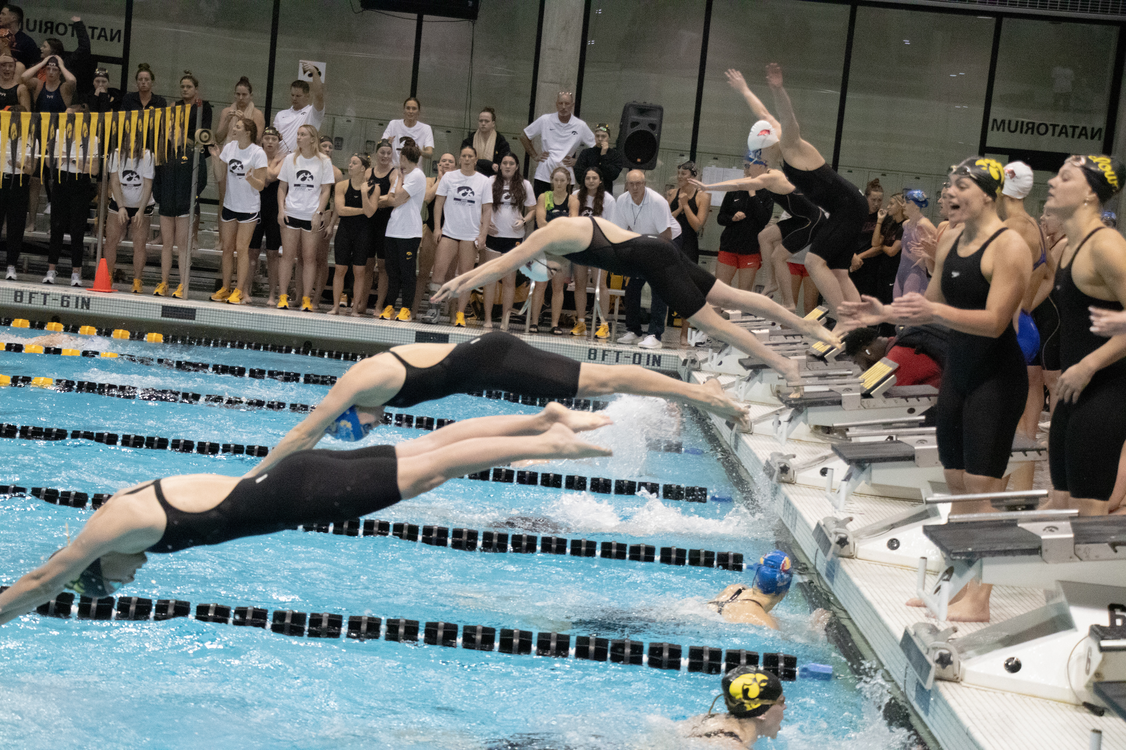 Swimmers participating in the 200-meter freestyle relay dive into the water at the Hawkeye Invitational Swim Meet on Nov. 21 2024 at the Campus Recreation and Wellness center in Iowa City, IA. (SJMC/ Sierra Christensen