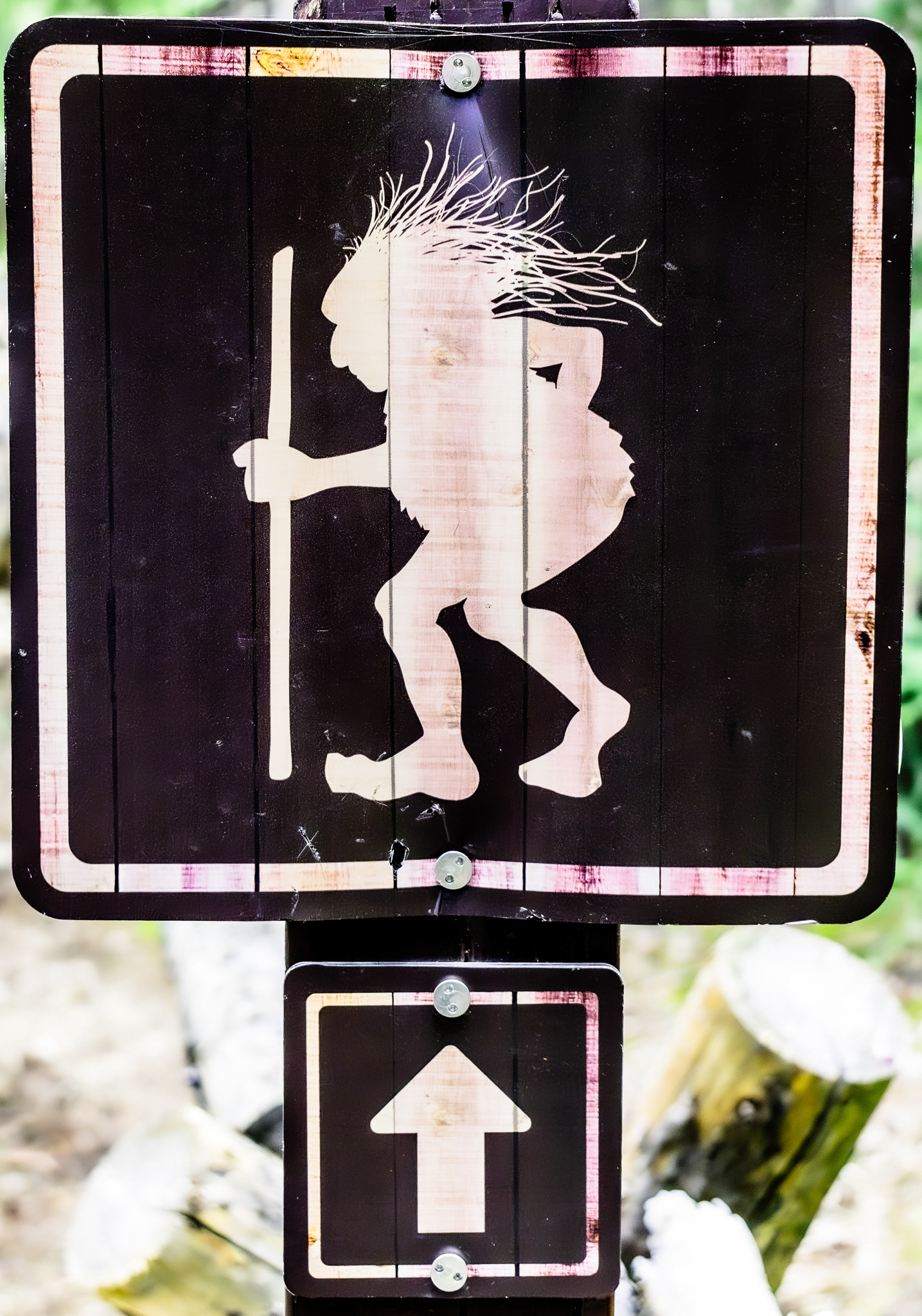 Breckenridge Troll Sign