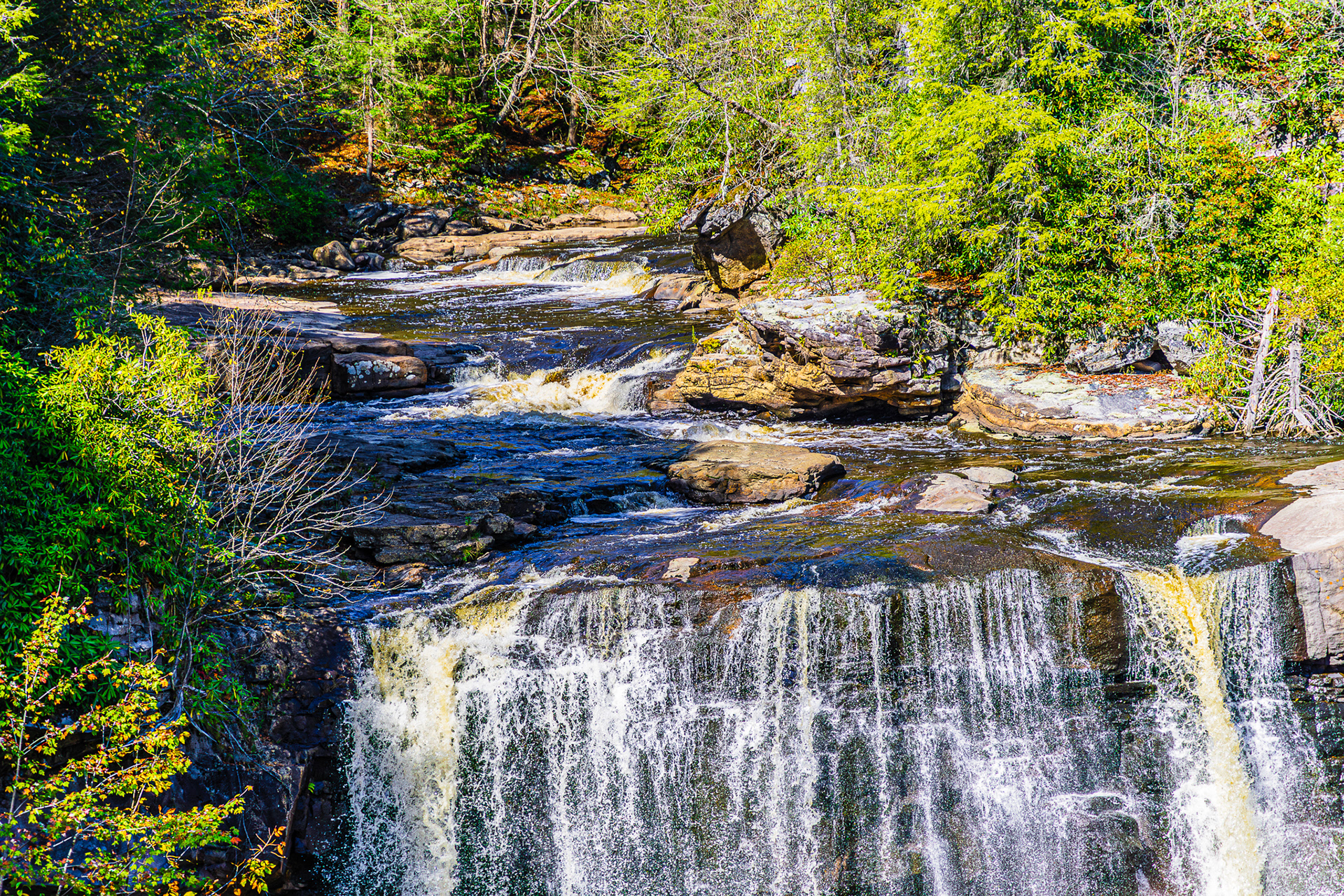 Blackwater Falls