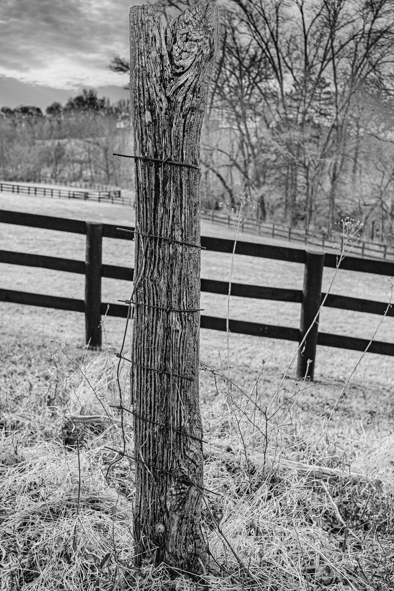 Last Fence Post Standing
