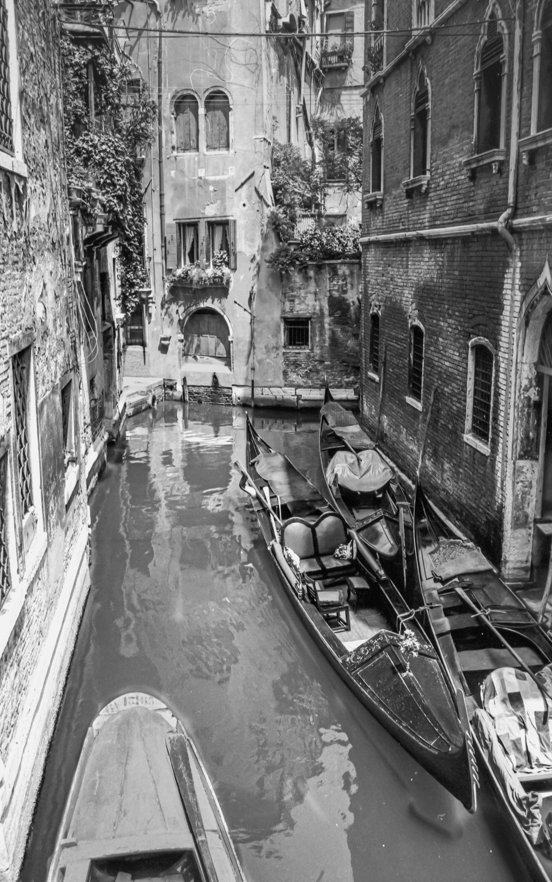 Gondolas, Venice 1976