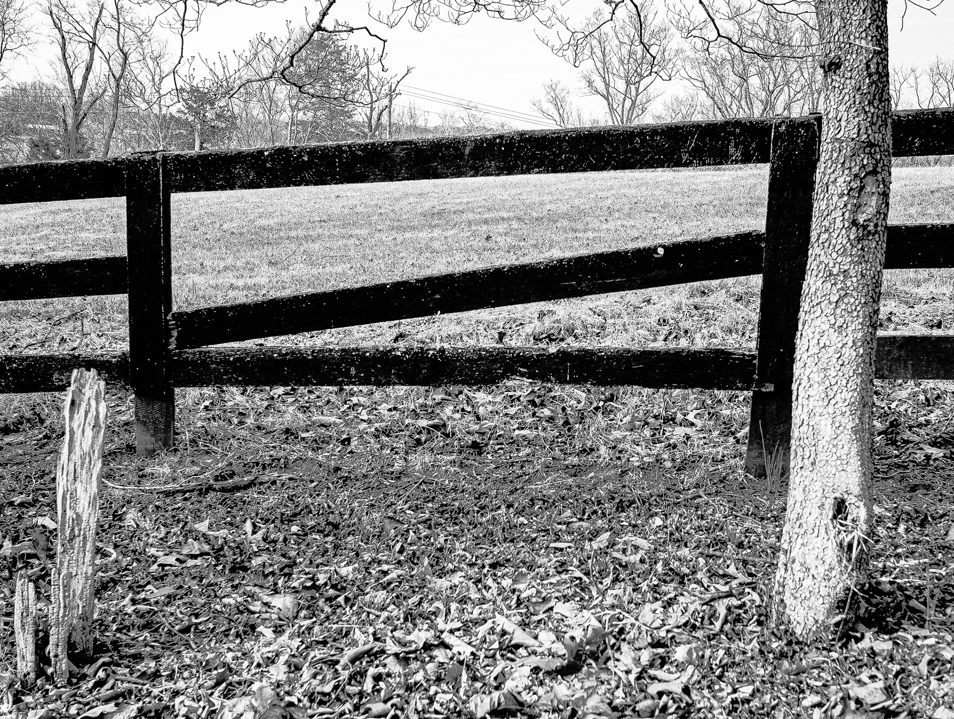 Fence #1